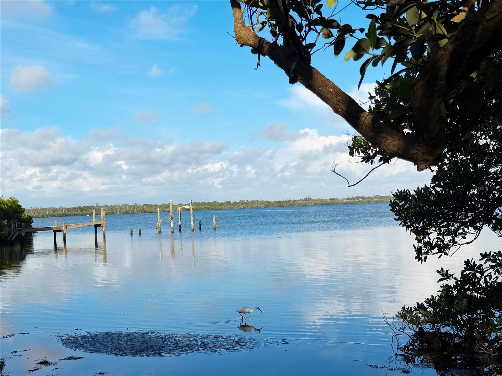 7025 Manasota Key Rd Property Photo 41