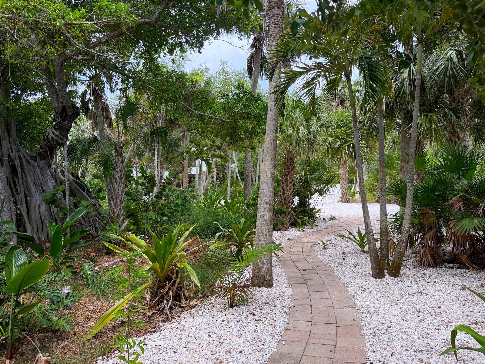 7025 Manasota Key Rd Property Photo 44