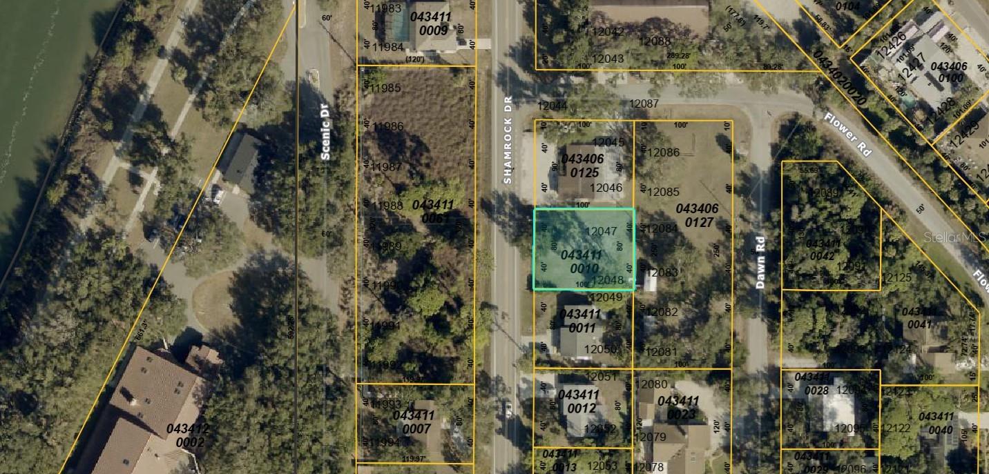 Shamrock Dr Property Photo 13