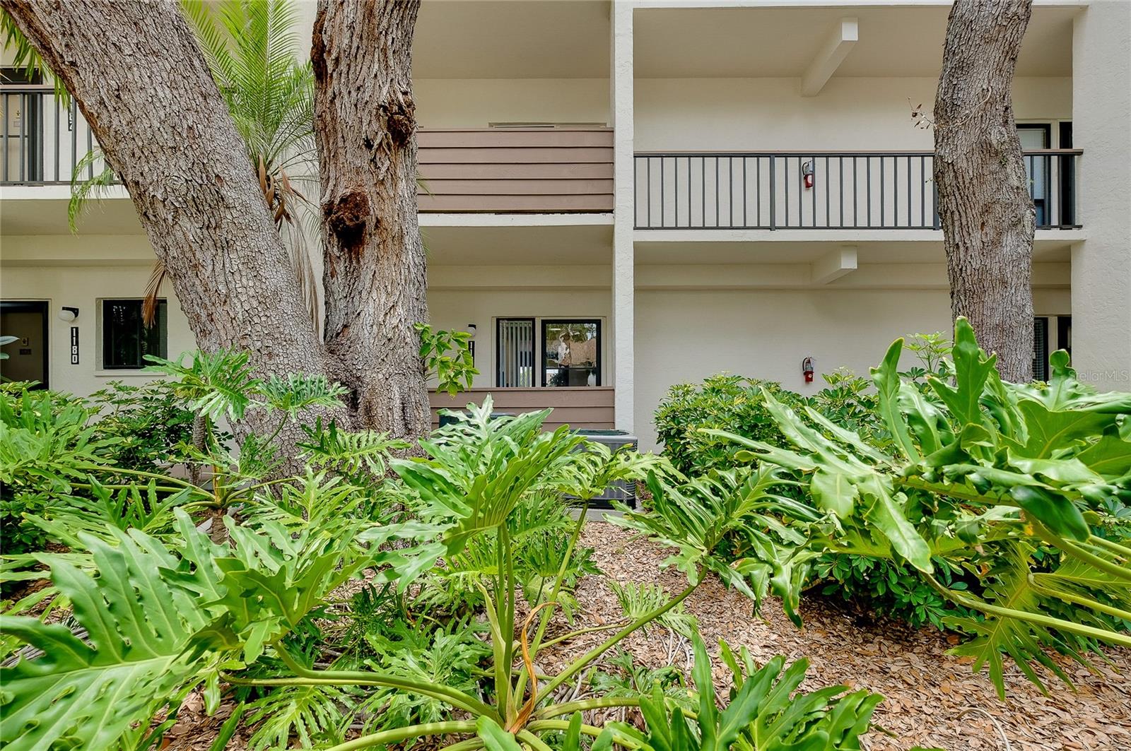 1186 Bird Bay Way #109 Property Photo 40