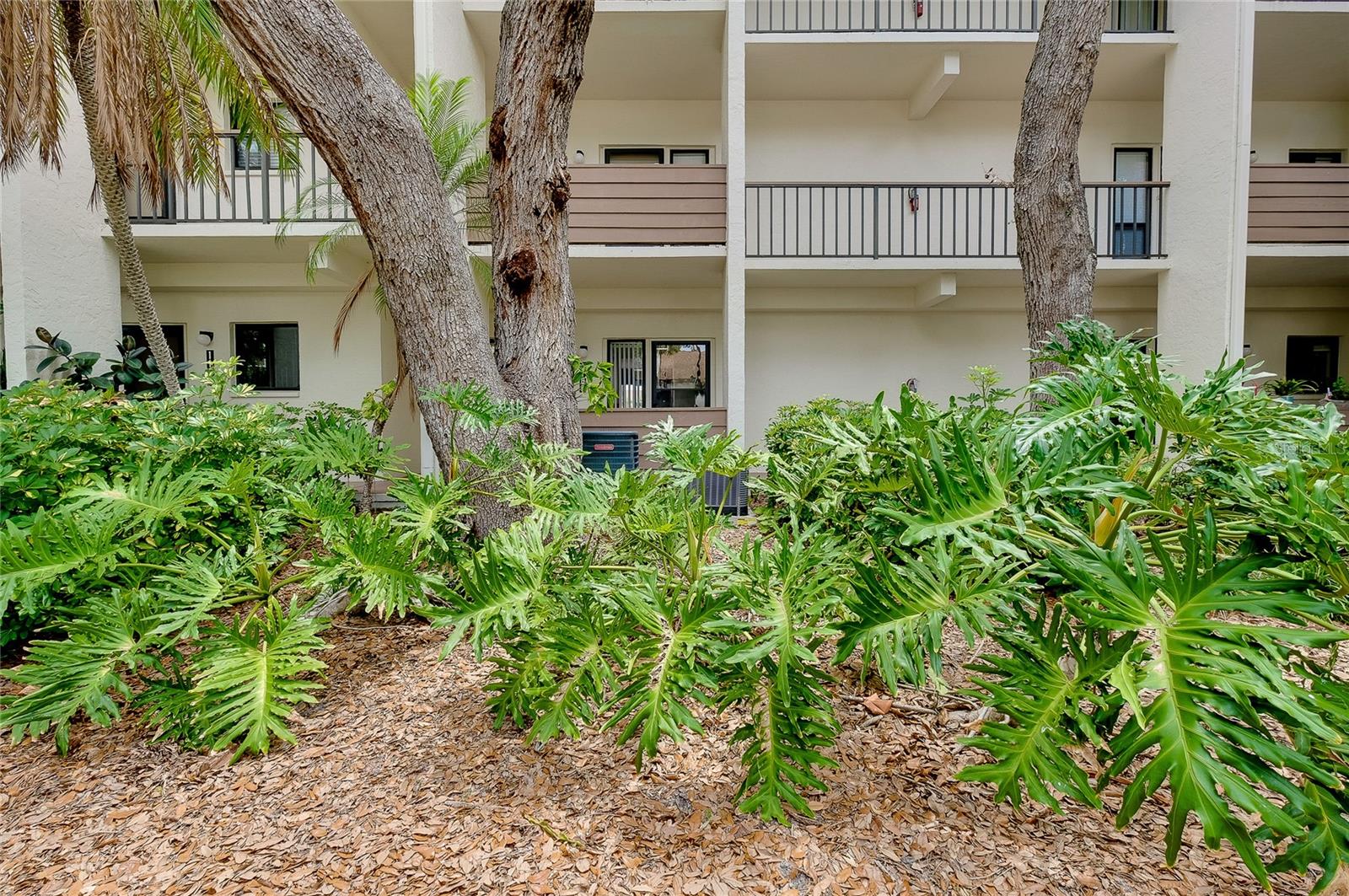 1186 Bird Bay Way #109 Property Photo 44