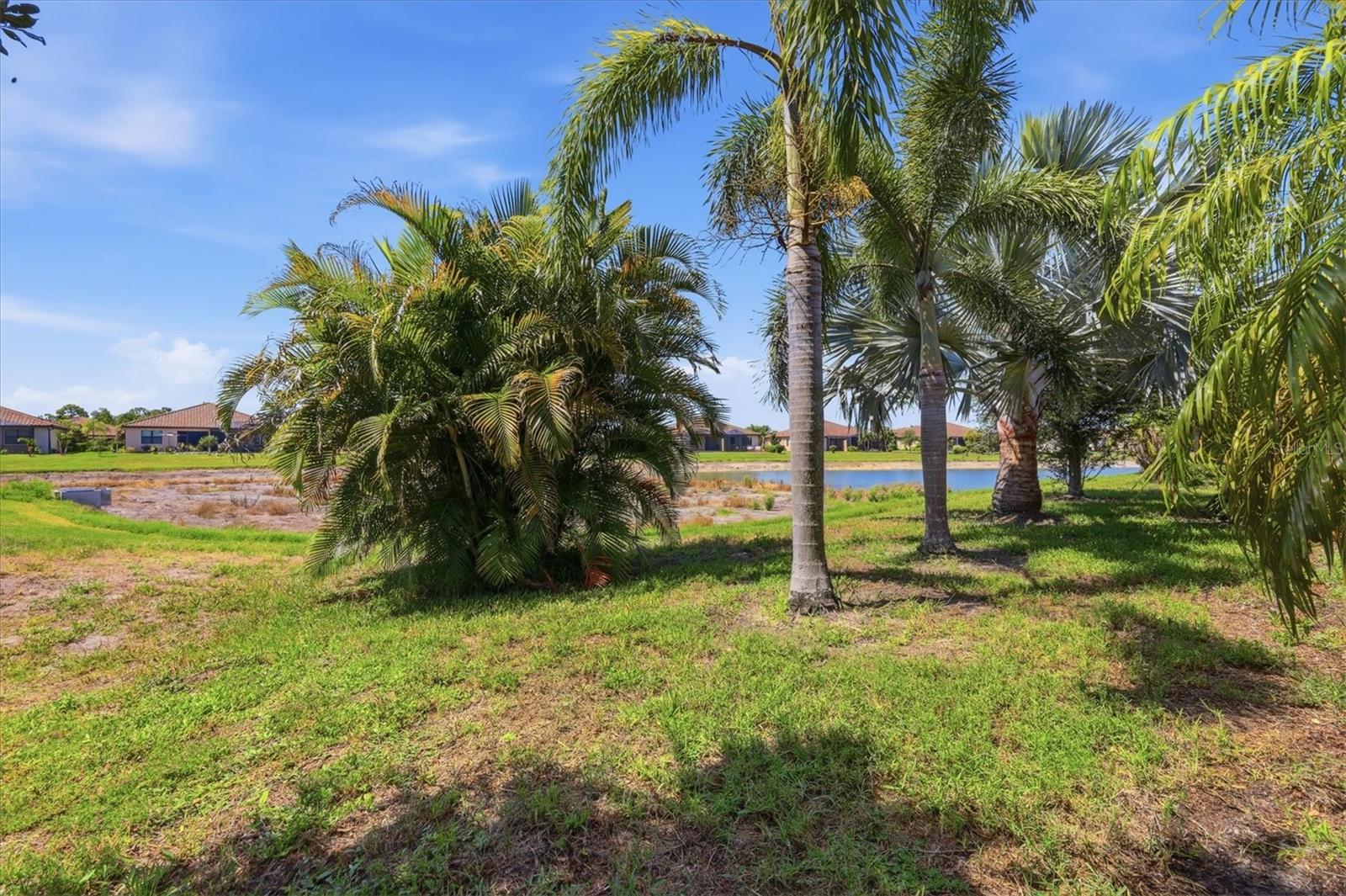 12505 Canavese Ln Property Photo 37