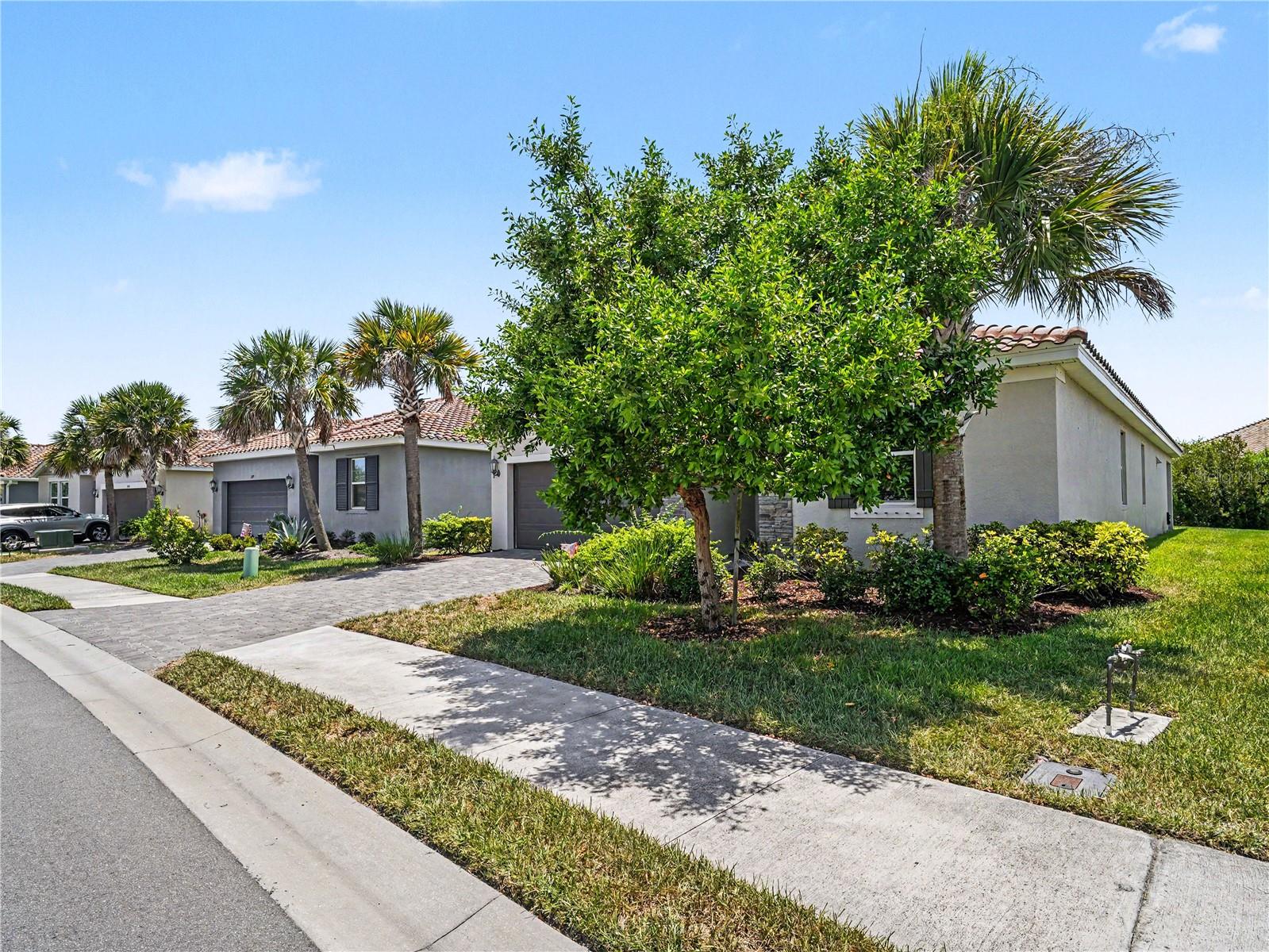 293 Daylily Blvd Property Photo 31