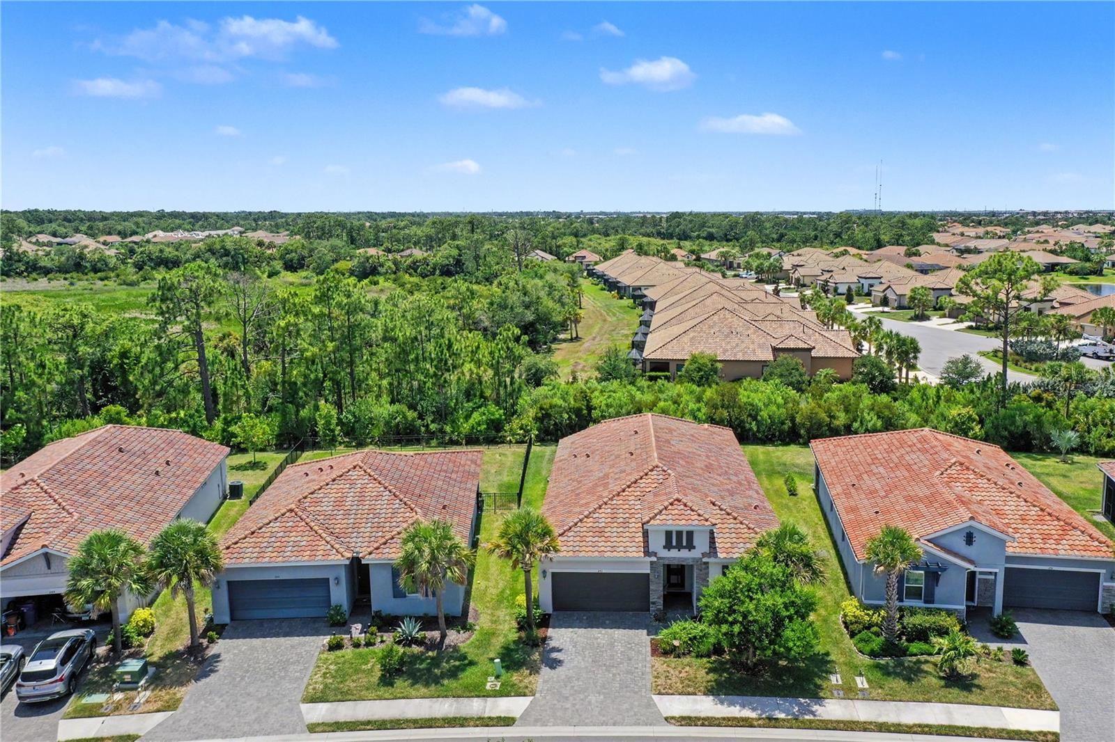 293 Daylily Blvd Property Photo 46