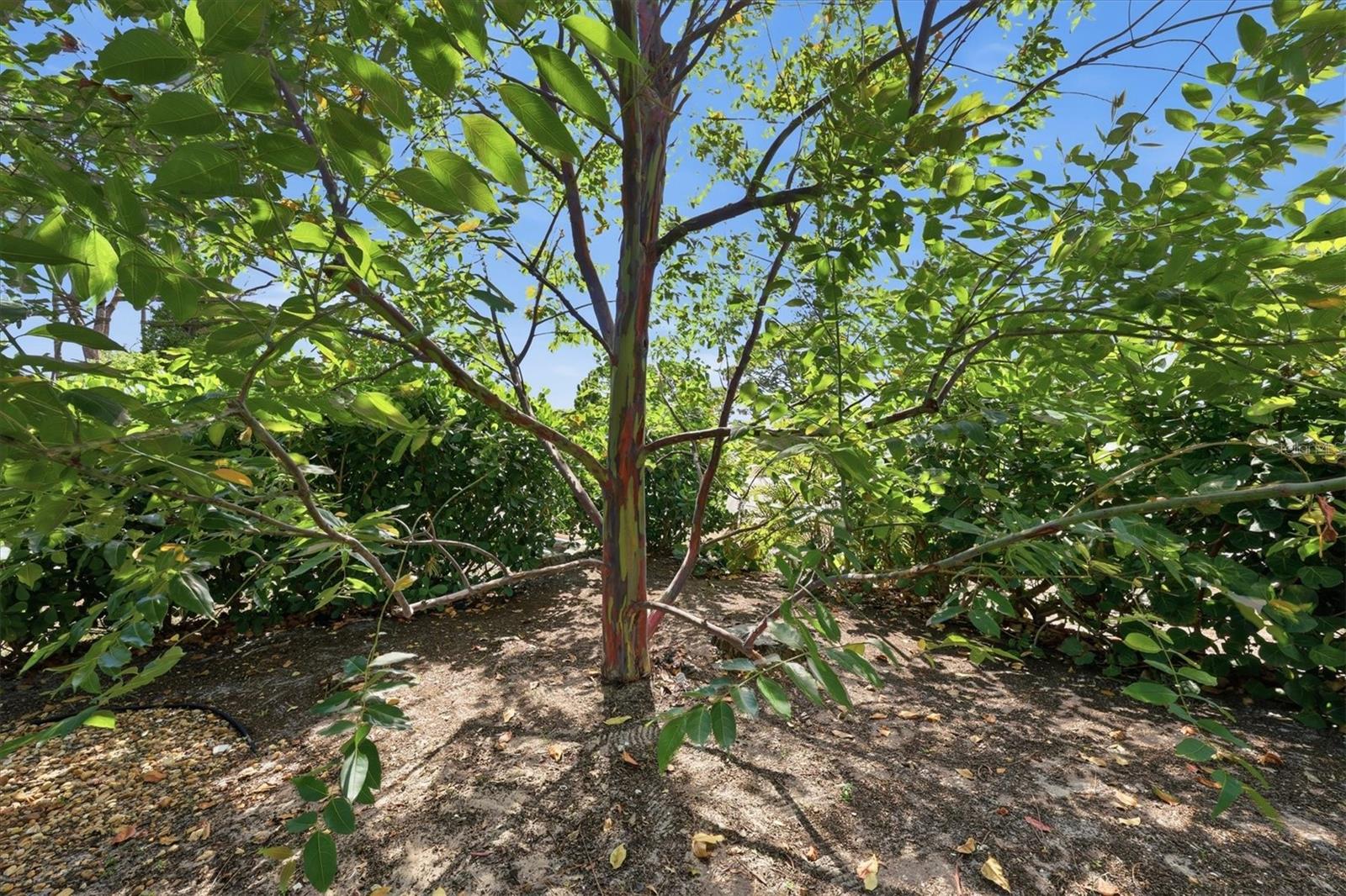 4821 Egret Rd Property Photo 44