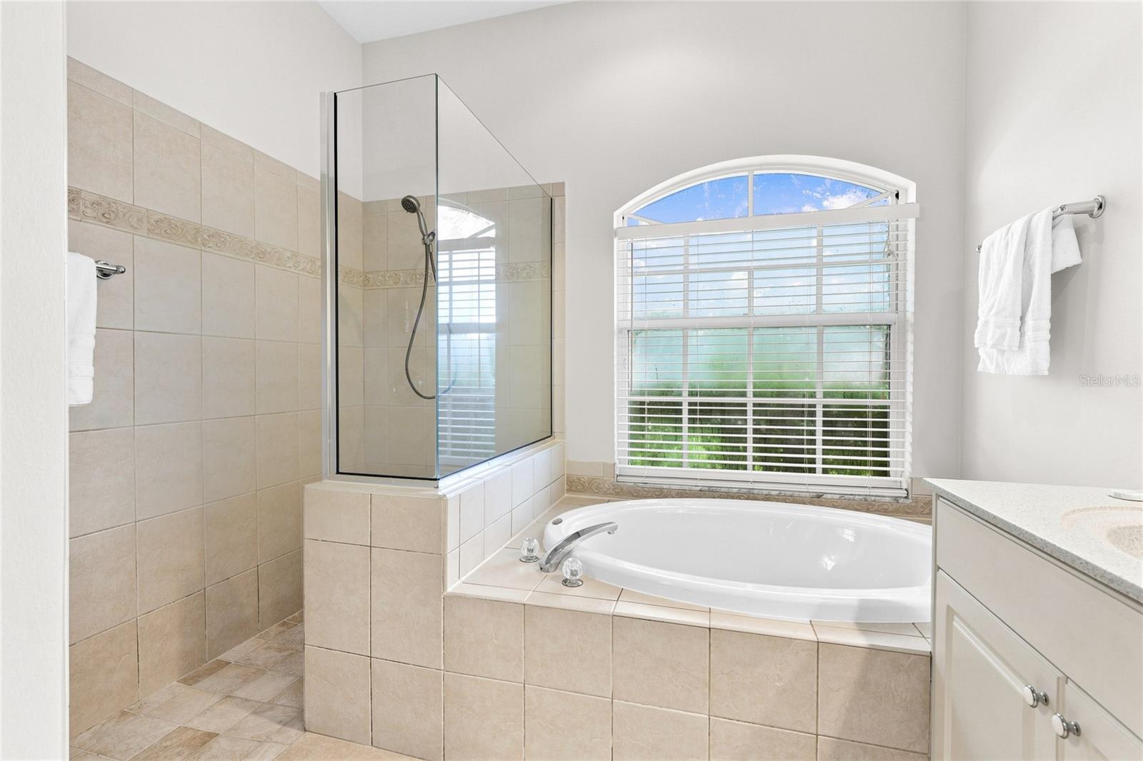 6718 Willow Pond Ln Property Photo 20