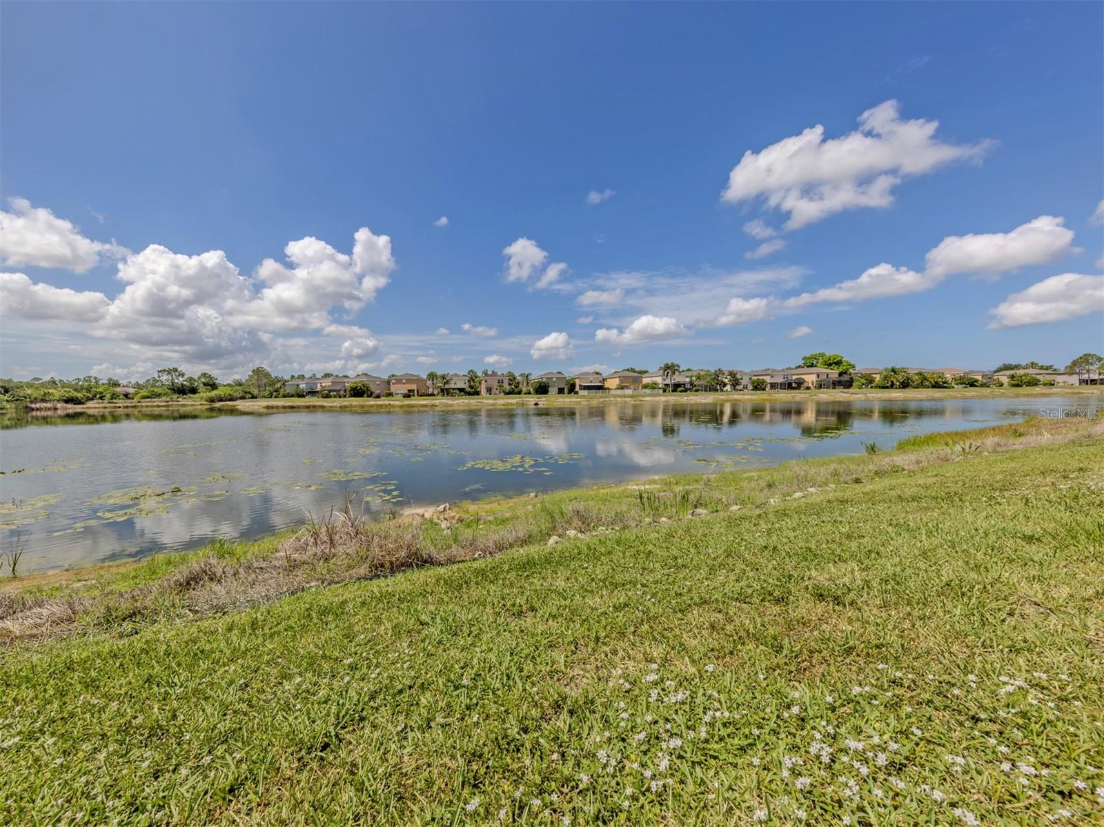 12983 Tigers Eye Dr Property Photo 21
