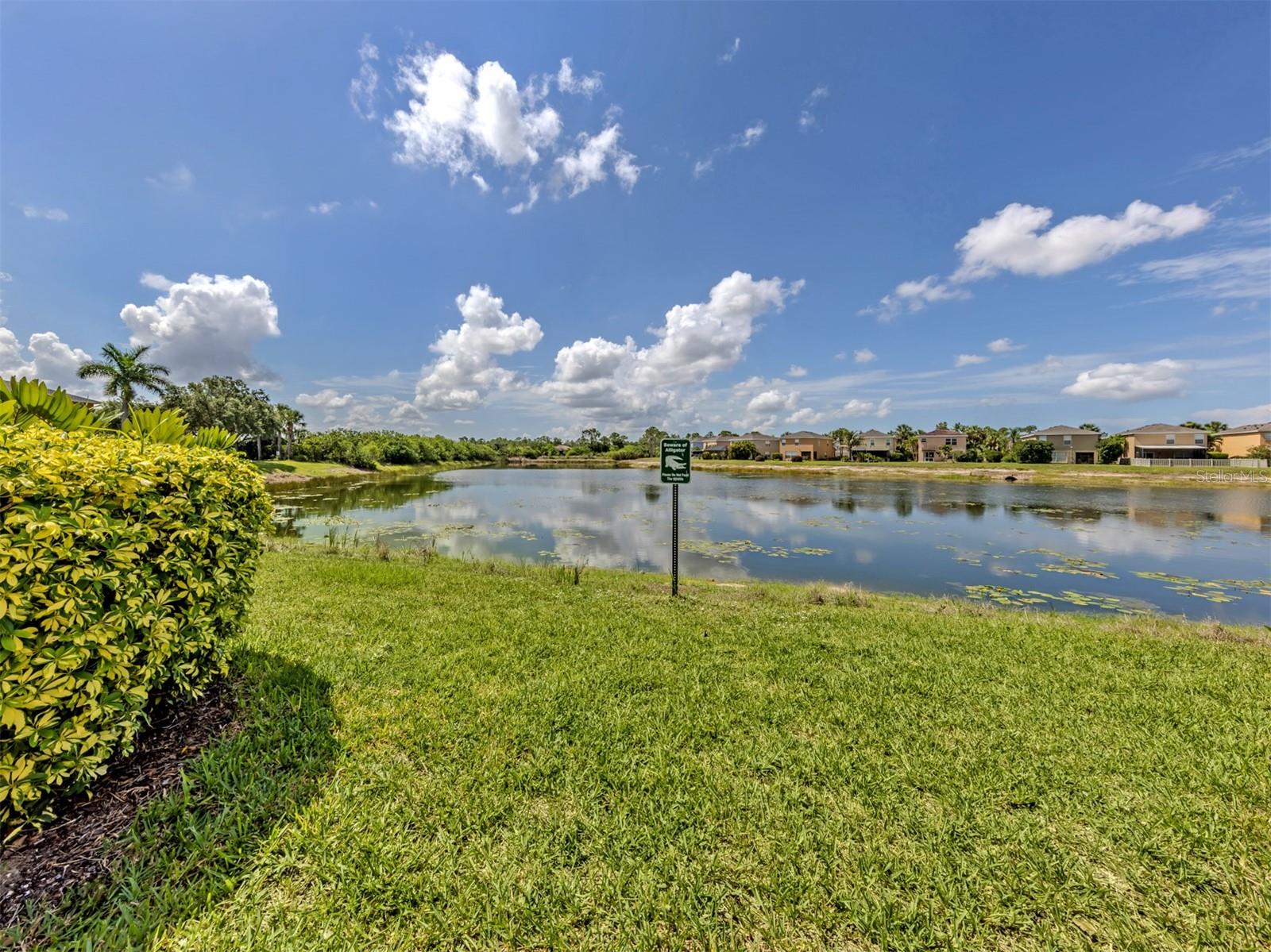 12983 Tigers Eye Dr Property Photo 22