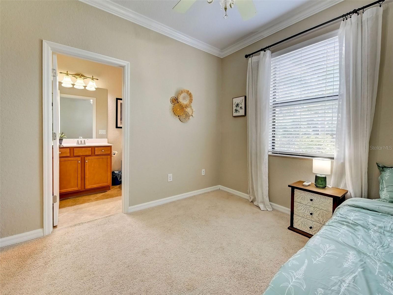 12390 Cinqueterre Dr Property Photo 26