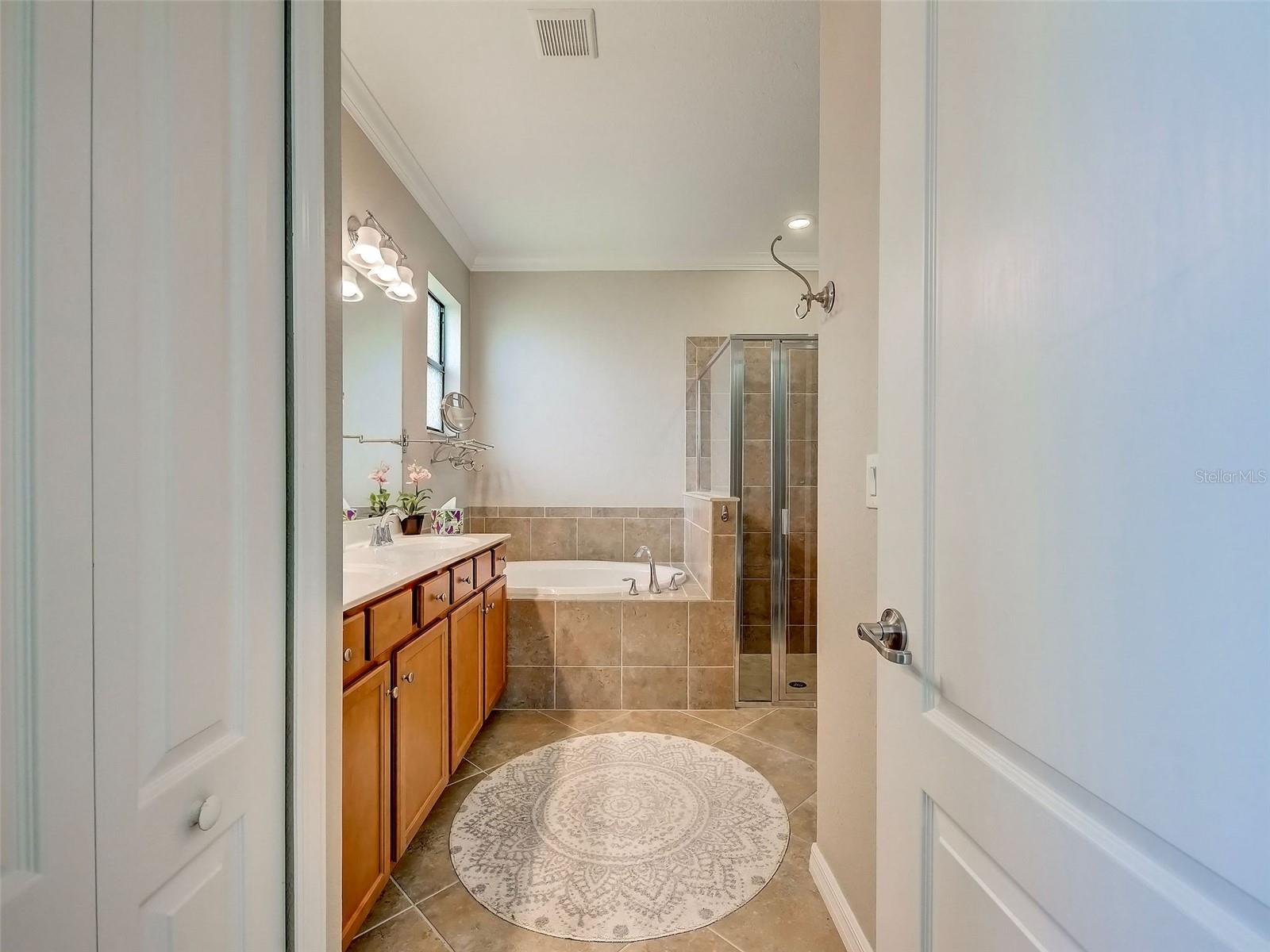 12390 Cinqueterre Dr Property Photo 49