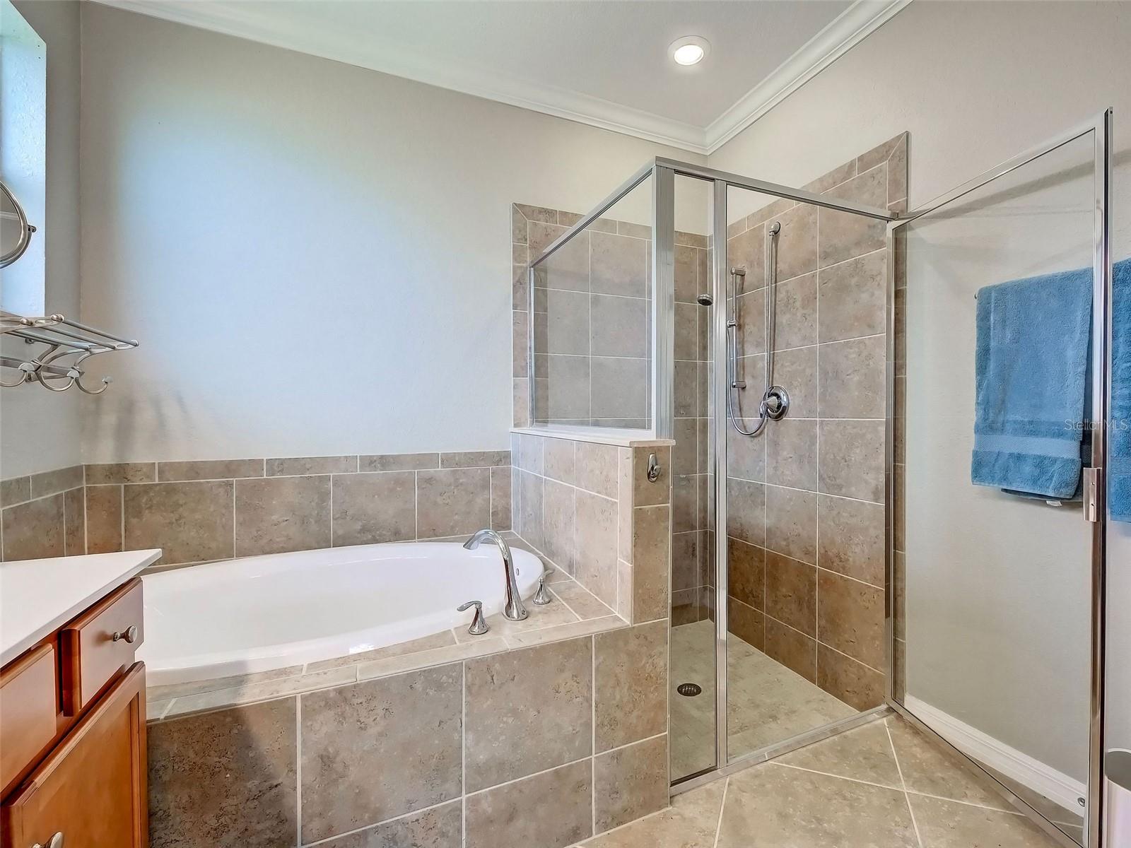 12390 Cinqueterre Dr Property Photo 51