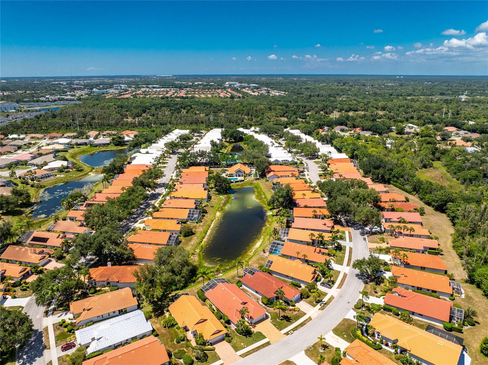 1251 Harbor Town Way Property Photo 44