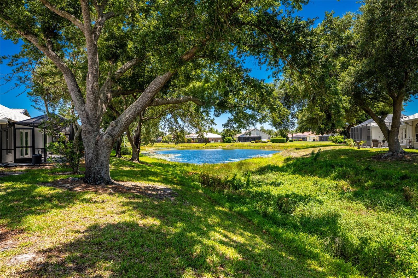 1251 Harbor Town Way Property Photo 48