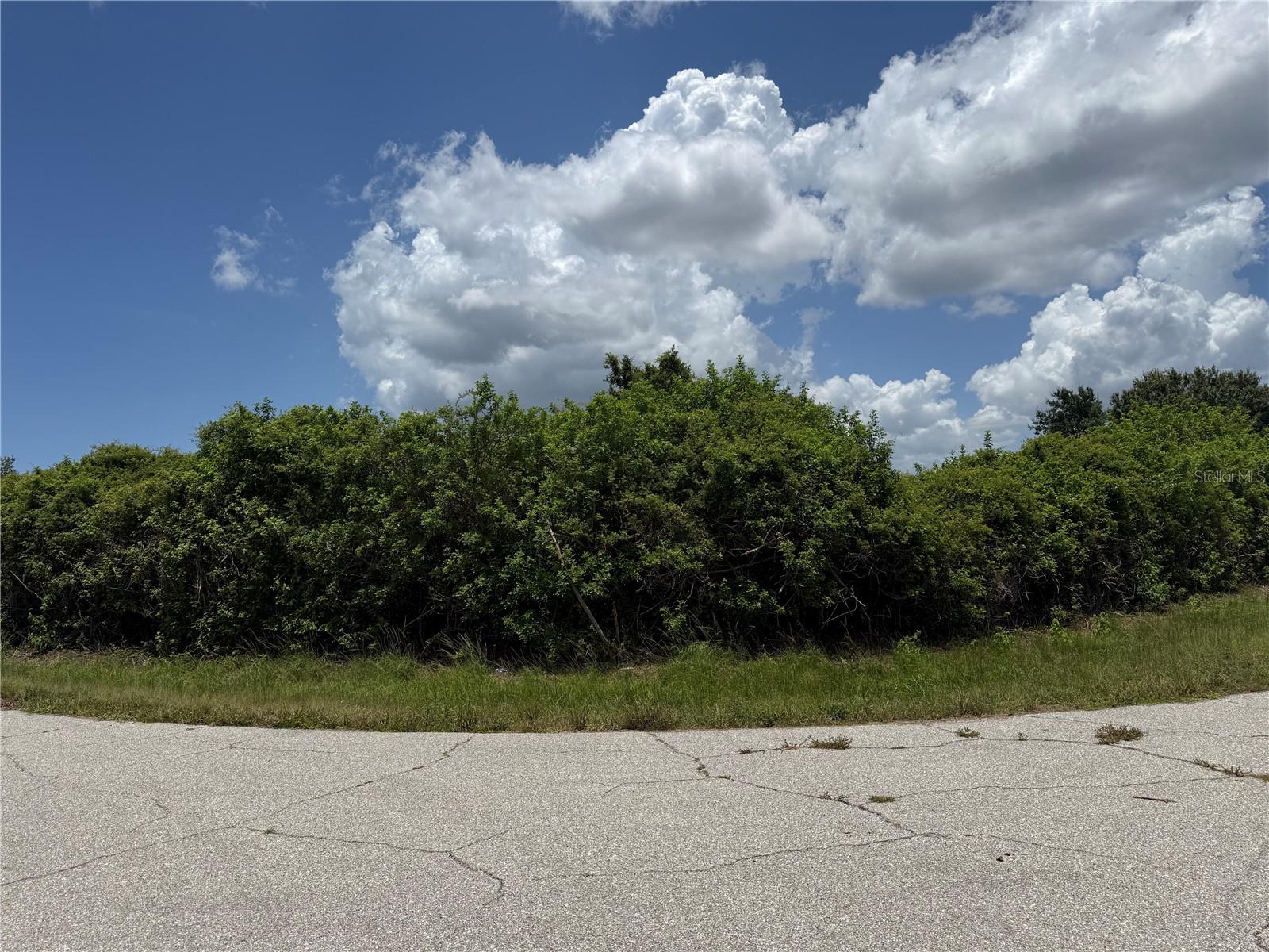 12526 Rathwell Ave Property Photo 4