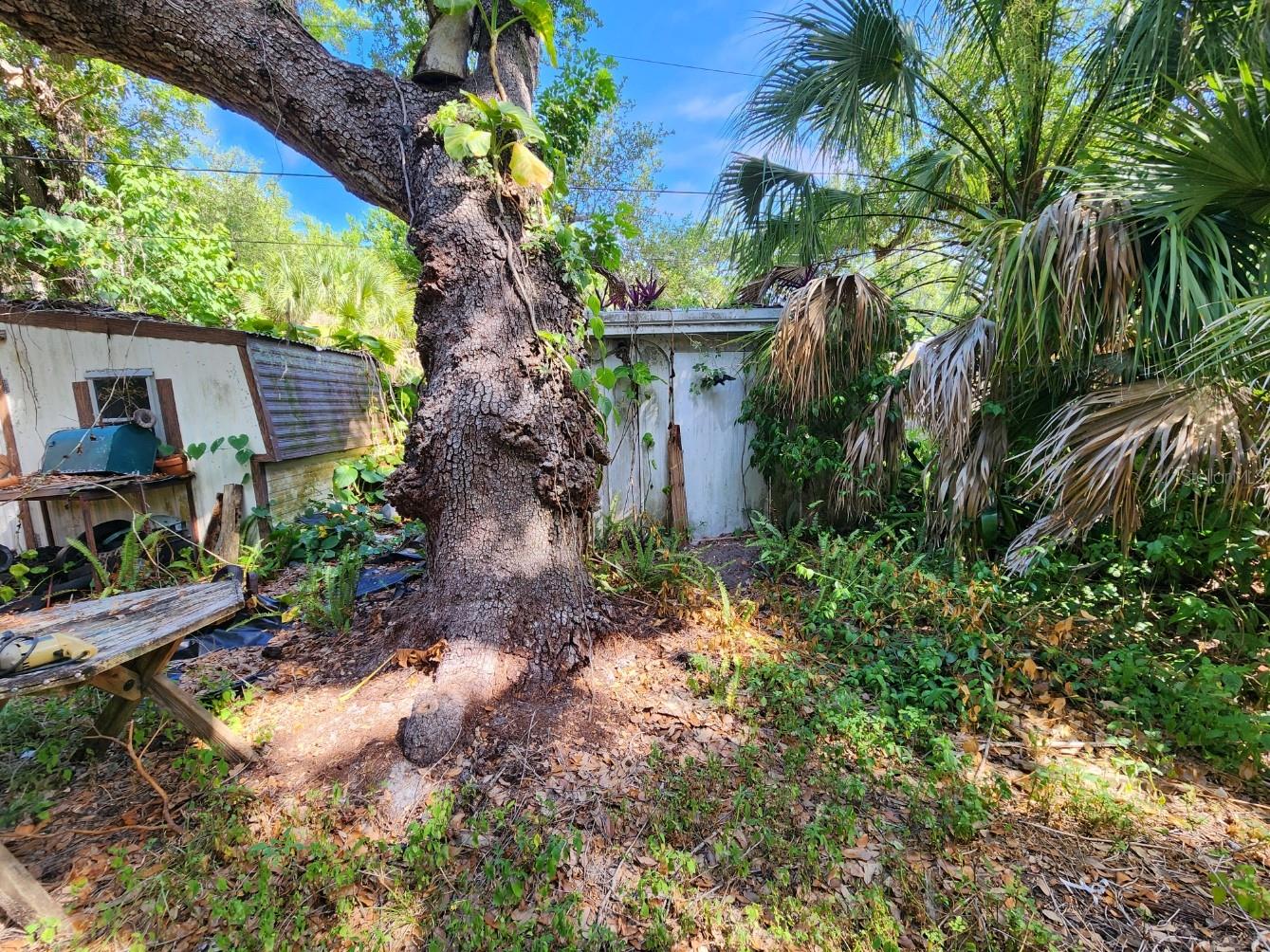 Shamrock Dr Property Photo 11