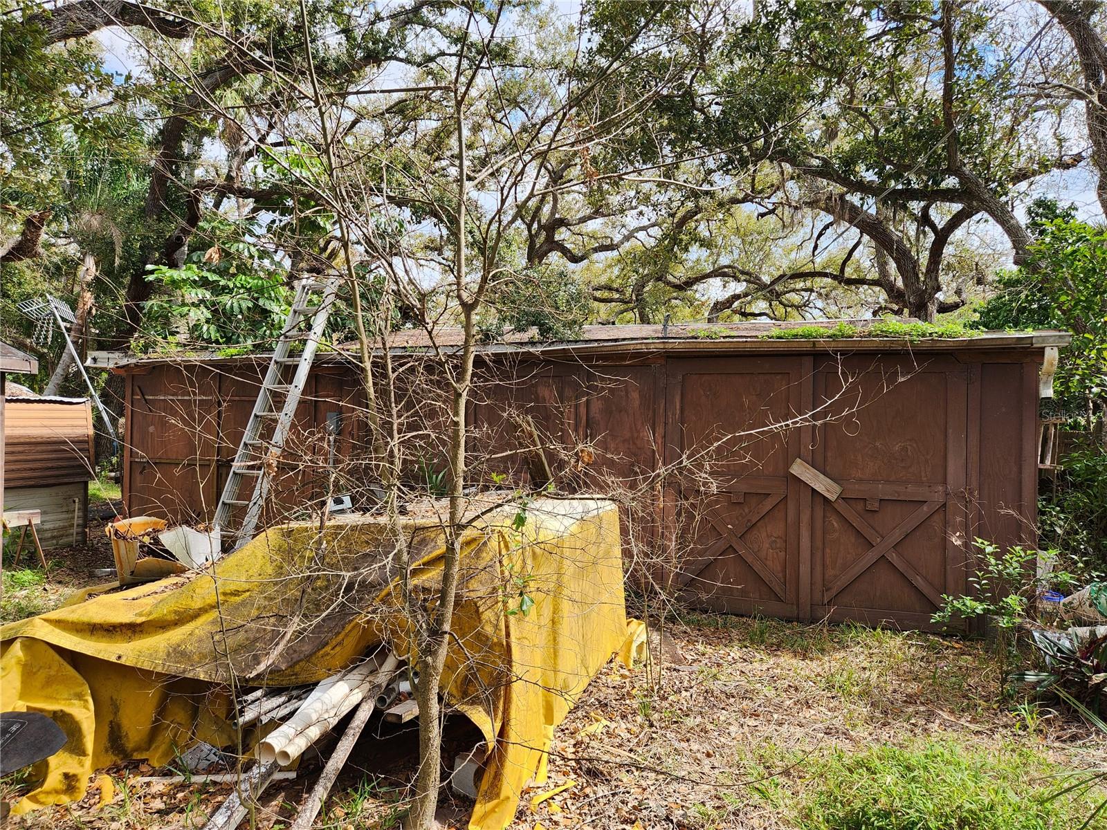 Shamrock Dr Property Photo 20