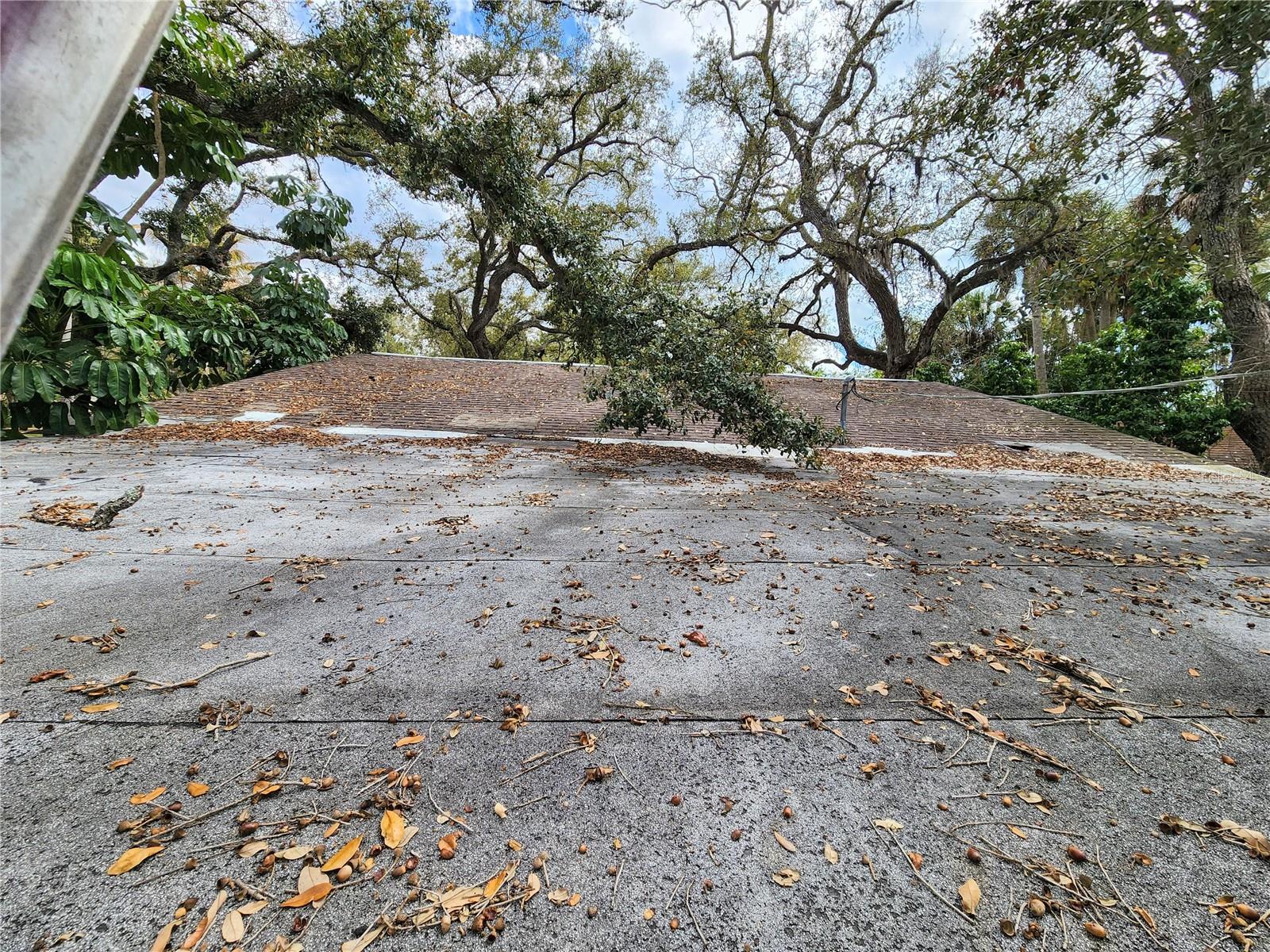 Shamrock Dr Property Photo 23