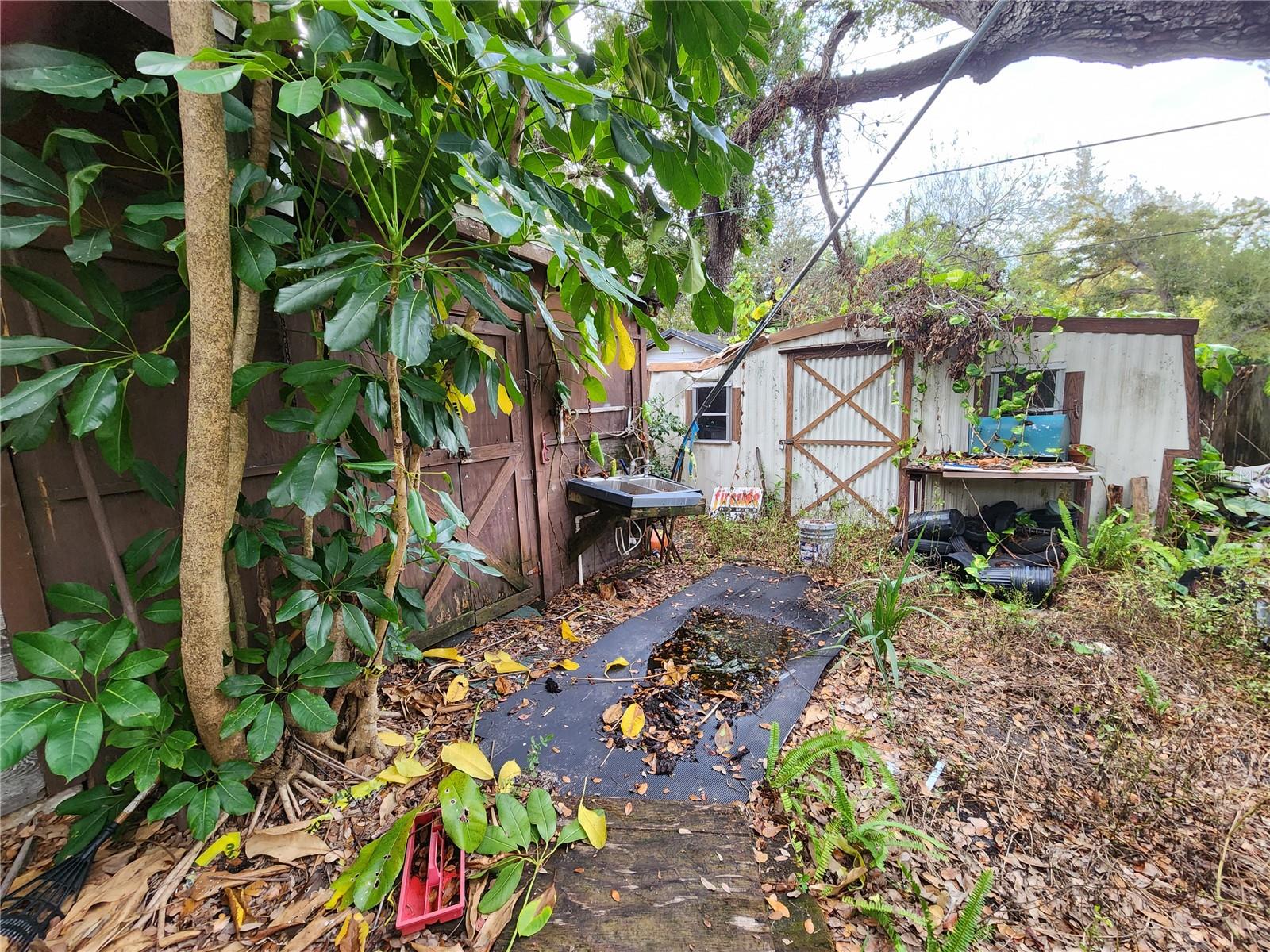 Shamrock Dr Property Photo 37
