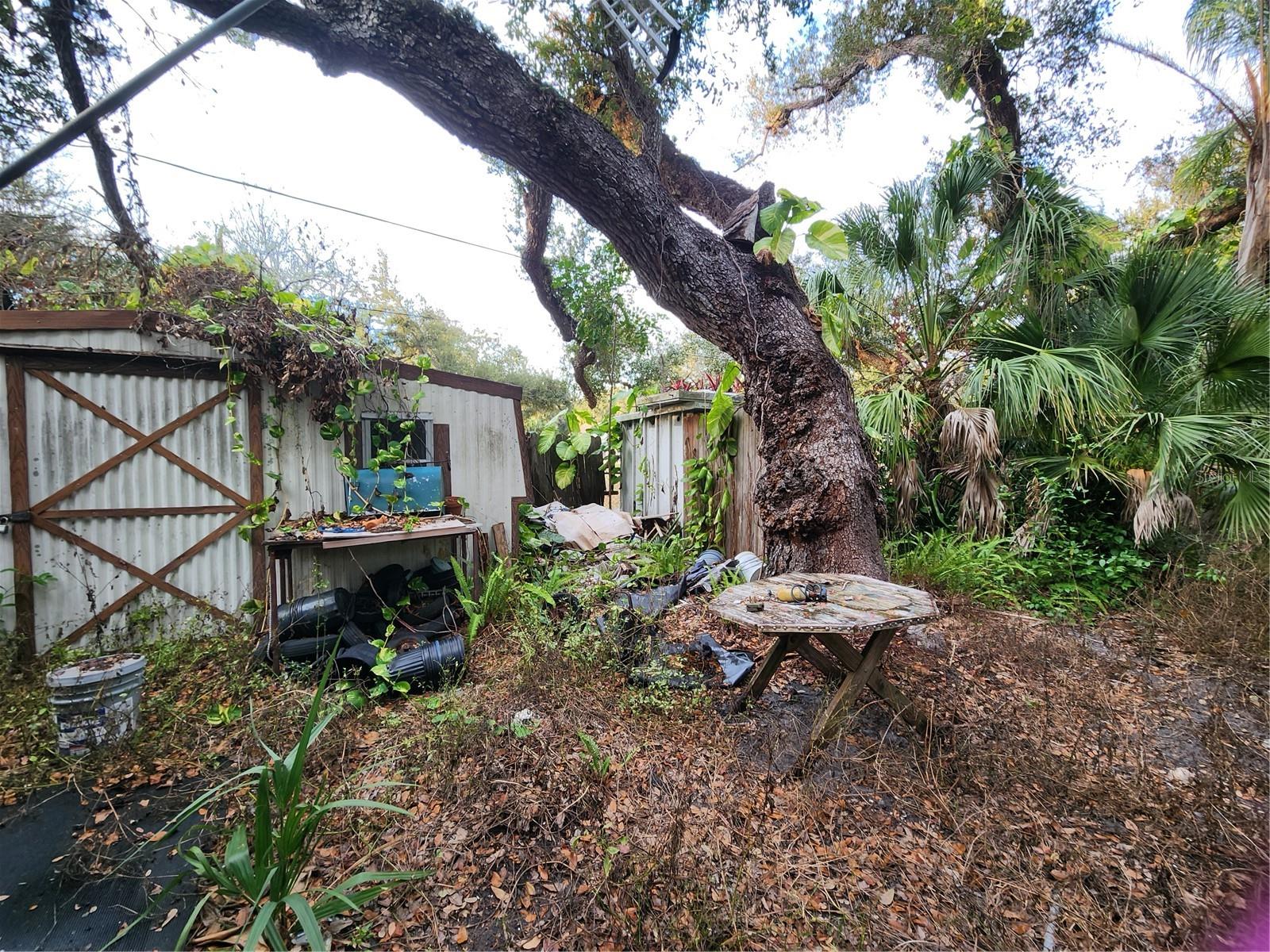 Shamrock Dr Property Photo 41
