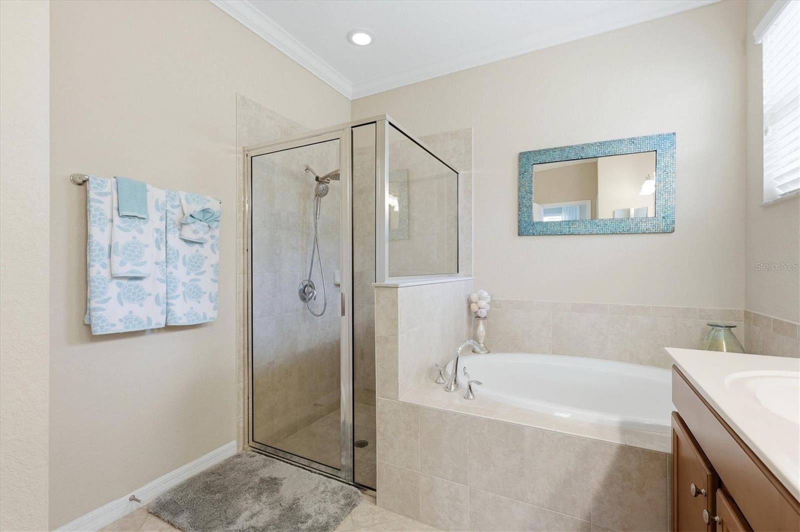 11702 Anhinga Ave Property Photo 32