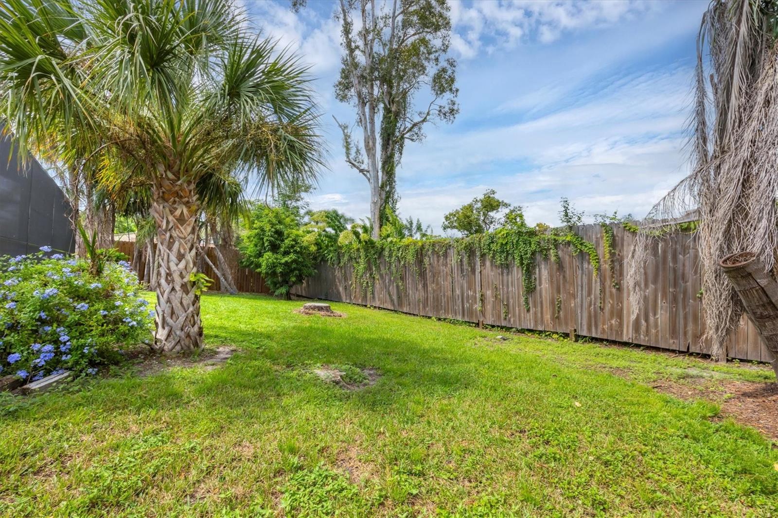 2445 Apache St Property Photo 31