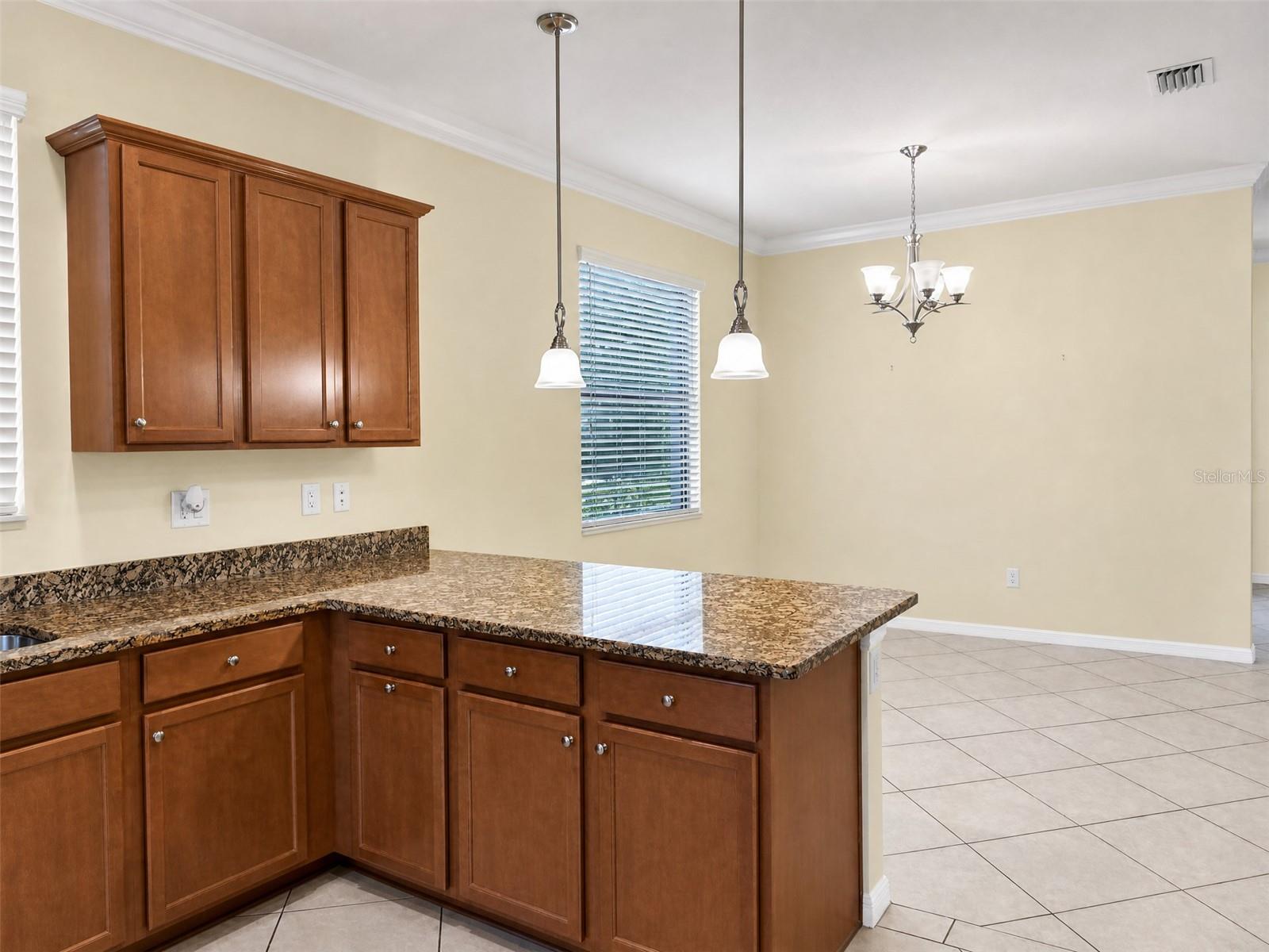 12889 Richezza Dr Property Photo 3
