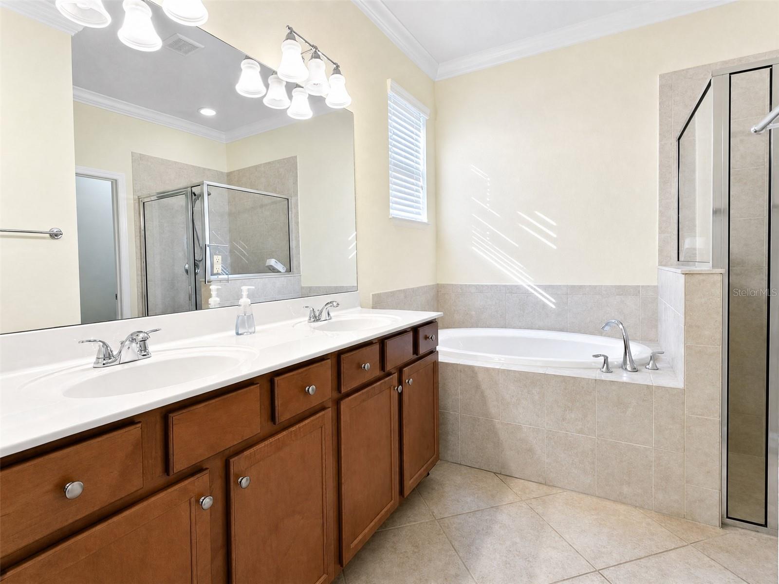 12889 Richezza Dr Property Photo 12