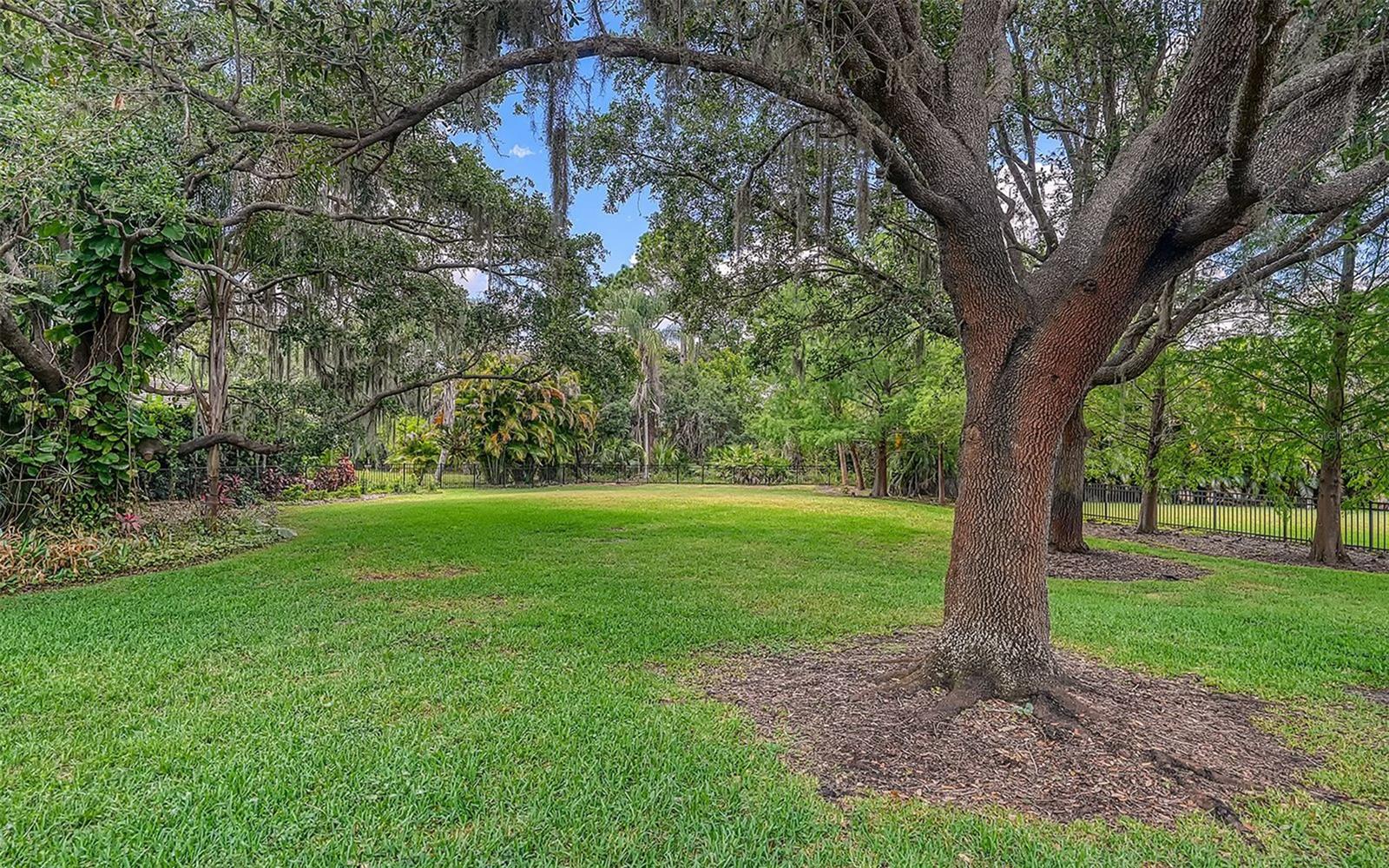 1109 Delacroix Cir Property Photo 62