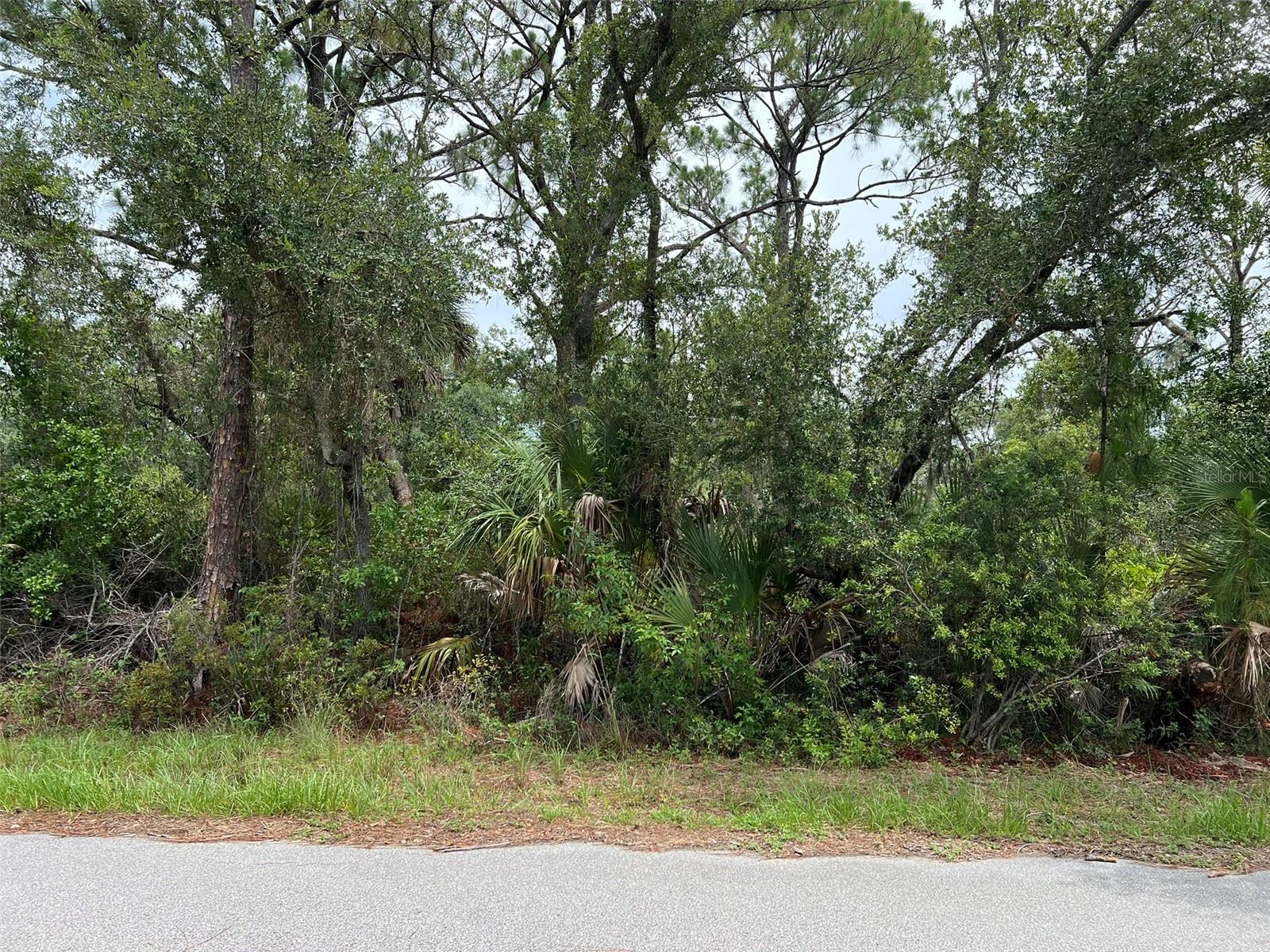 13414 Carrie Ave Property Photo 2