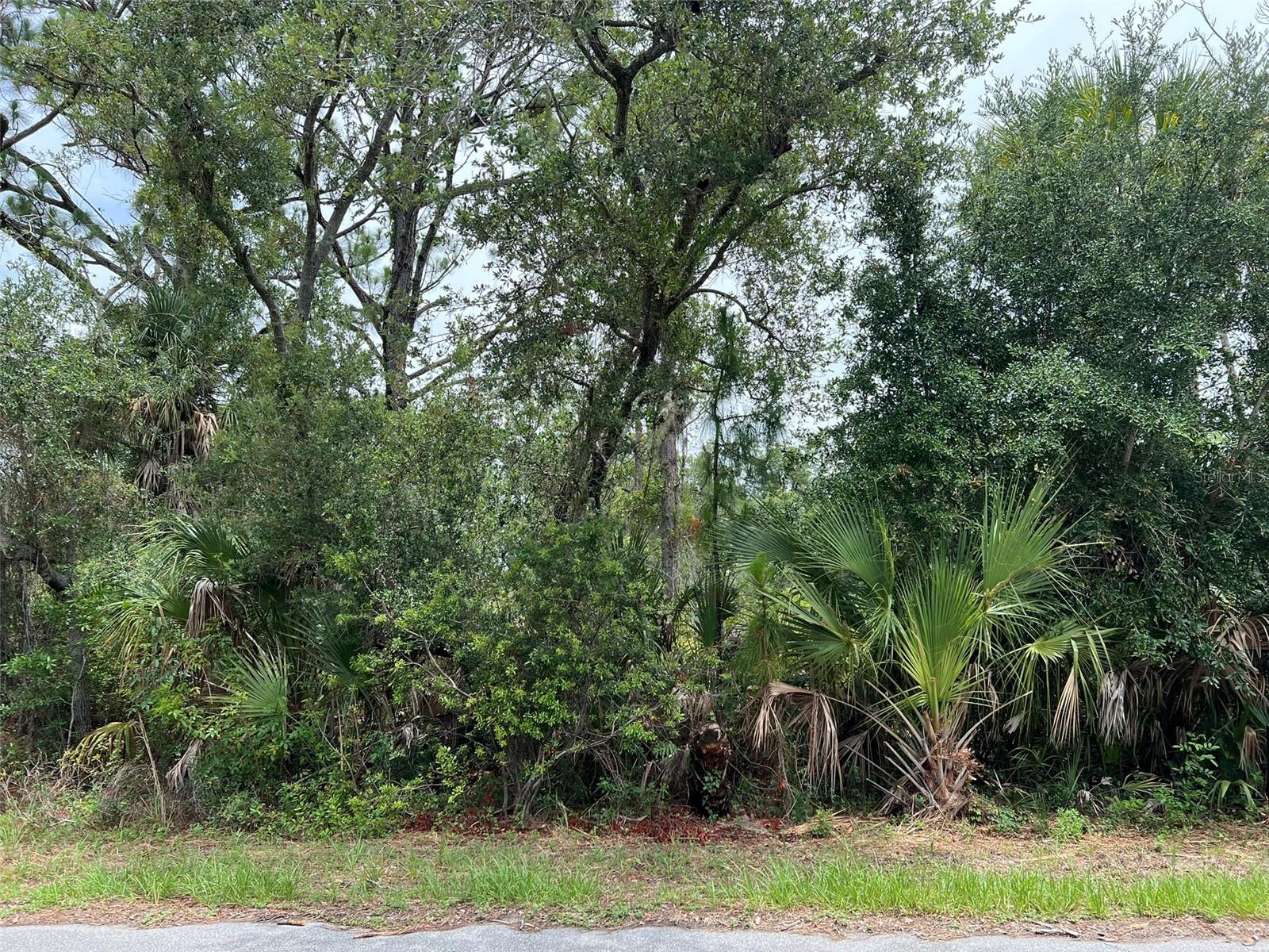 13414 Carrie Ave Property Photo 3