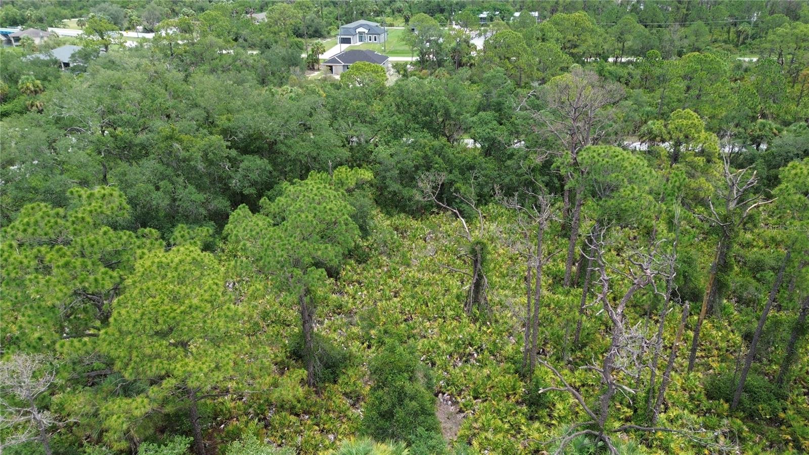 13414 Carrie Ave Property Photo 4