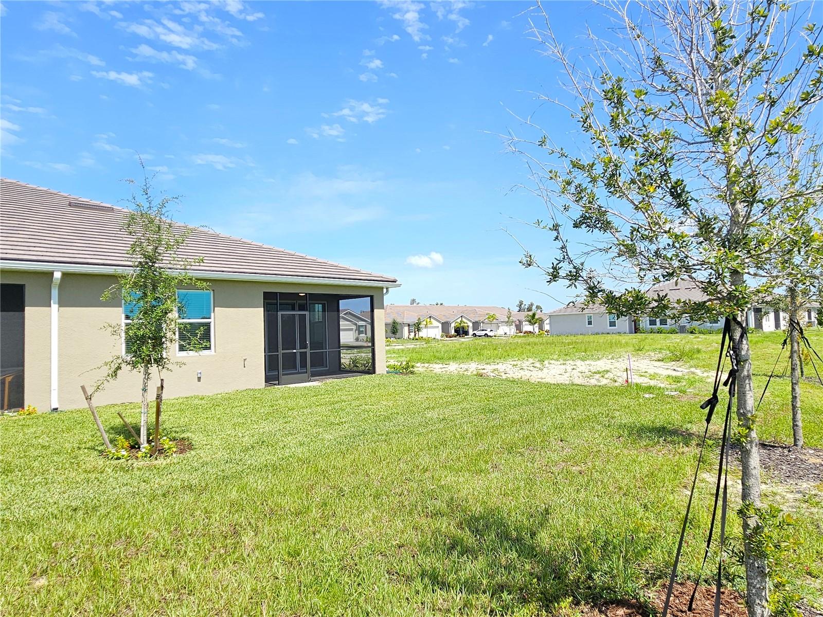 17784 Stillness Ct Property Photo 24