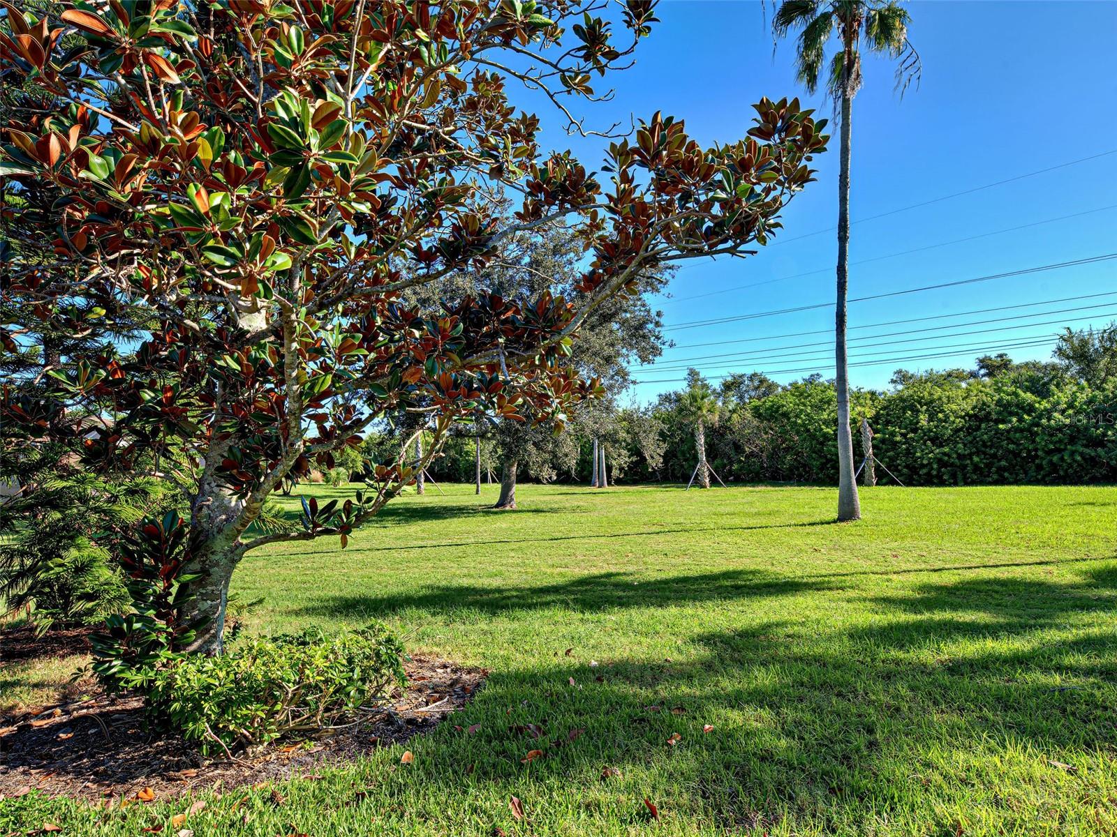 20612 Capello Dr Property Photo 2