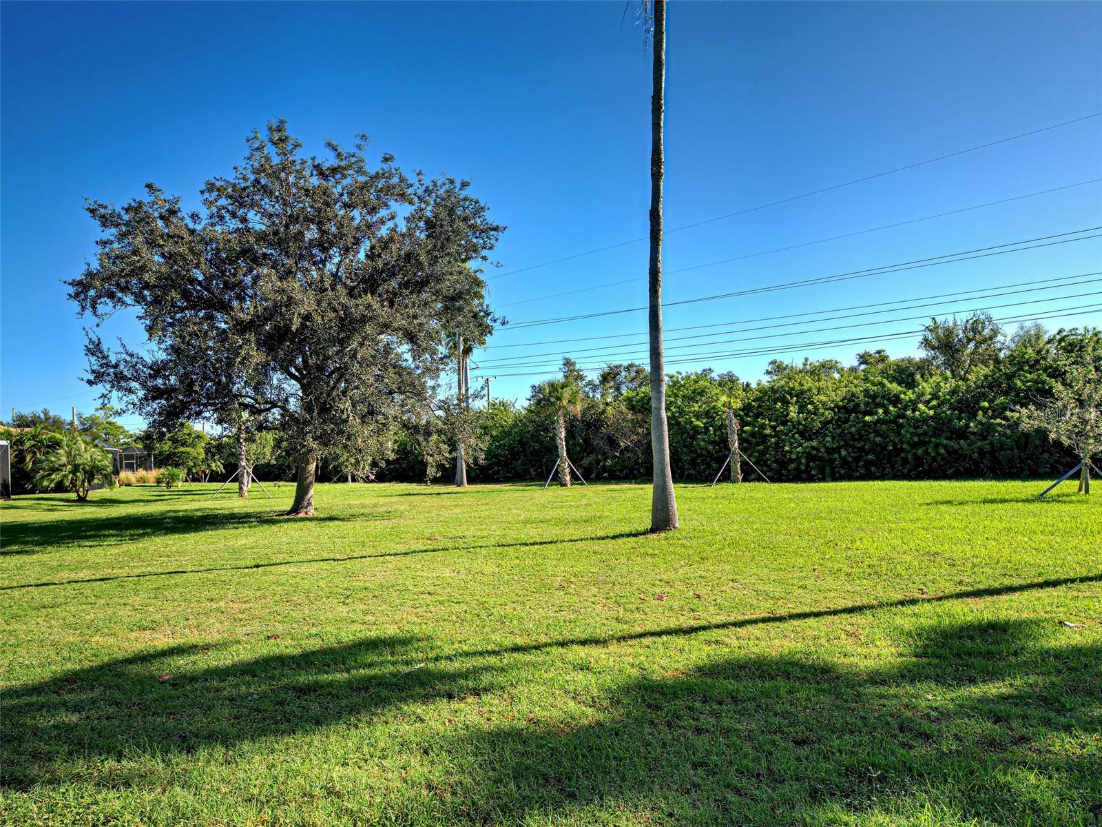 20612 Capello Dr Property Photo 3