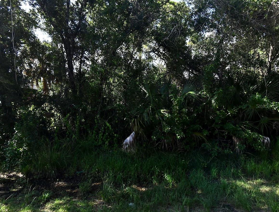 Desco Rd Property Photo 5