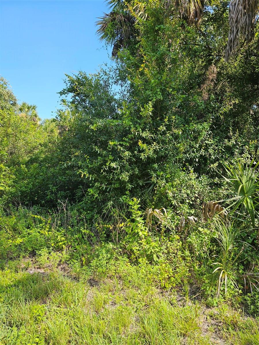 18137 Sinatra Ave Property Photo 1