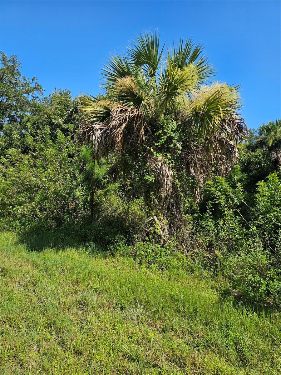 18137 Sinatra Ave Property Photo 2