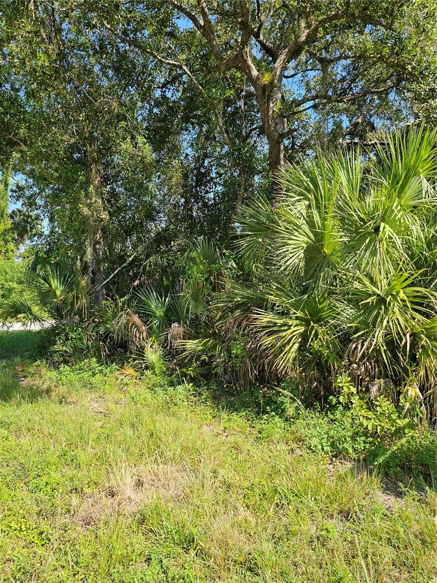 18137 Sinatra Ave Property Photo 3