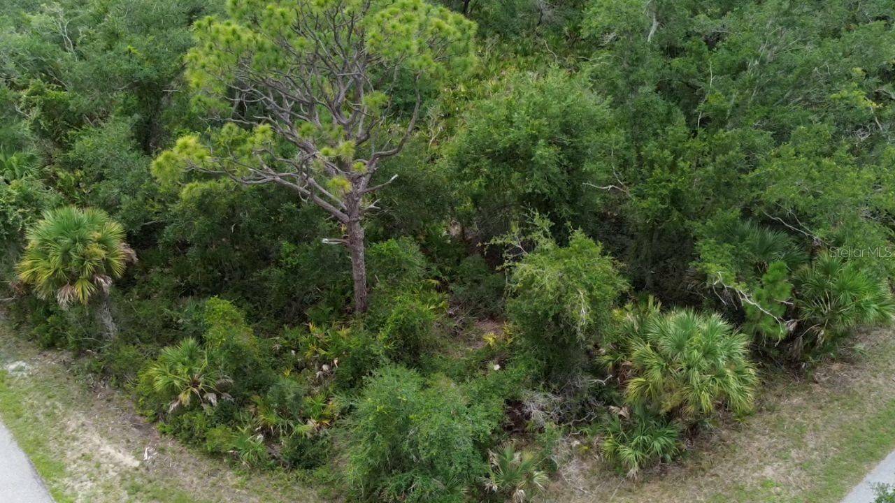 1388 Clearview Dr Property Photo 4