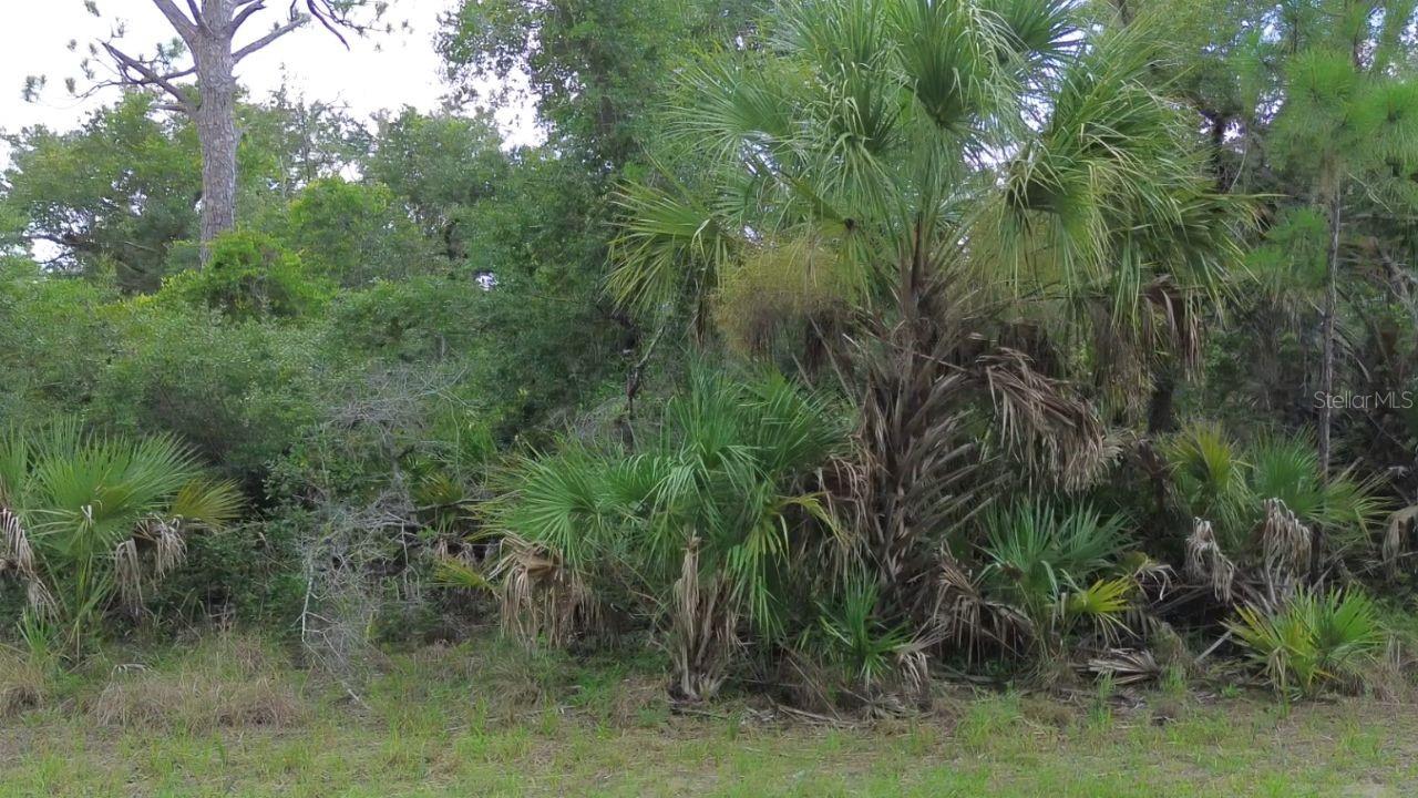 1388 Clearview Dr Property Photo 7
