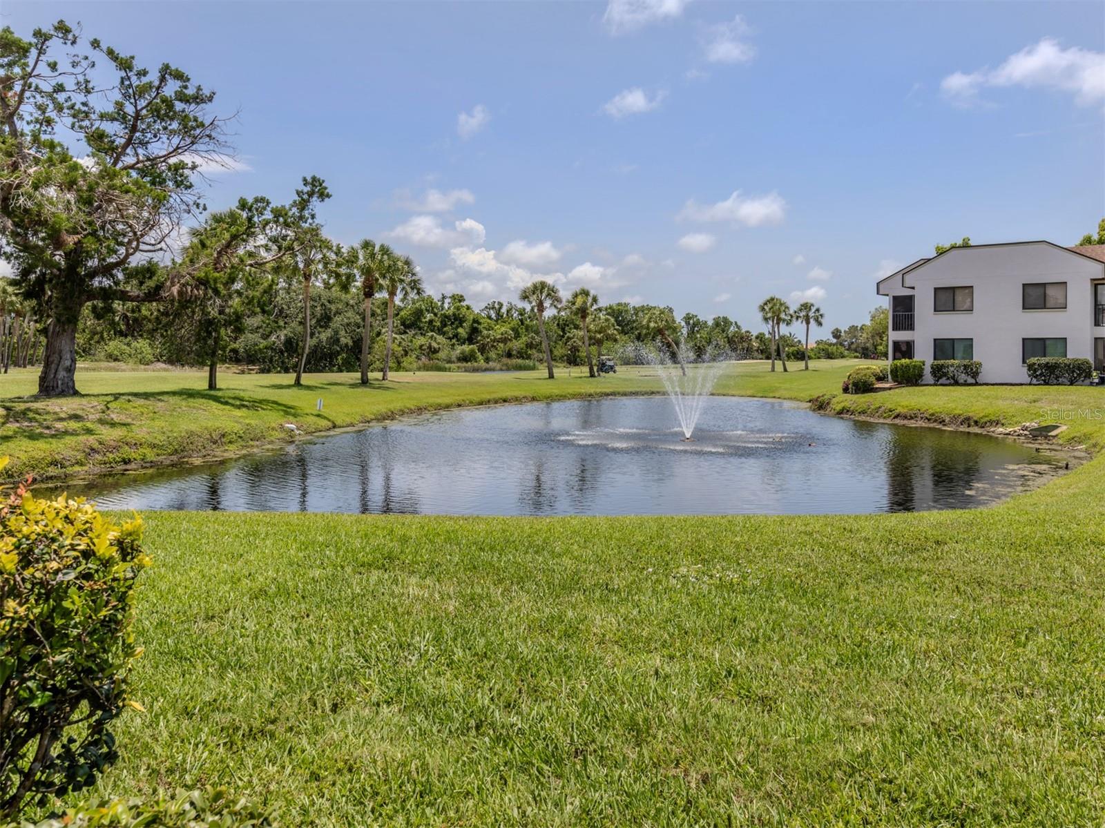 808 Capri Isles Blvd #111 Property Photo 5