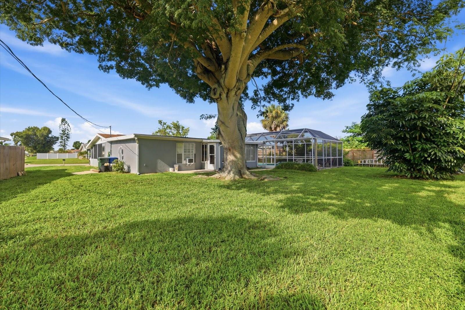 134 Paddington Rd Property Photo 34
