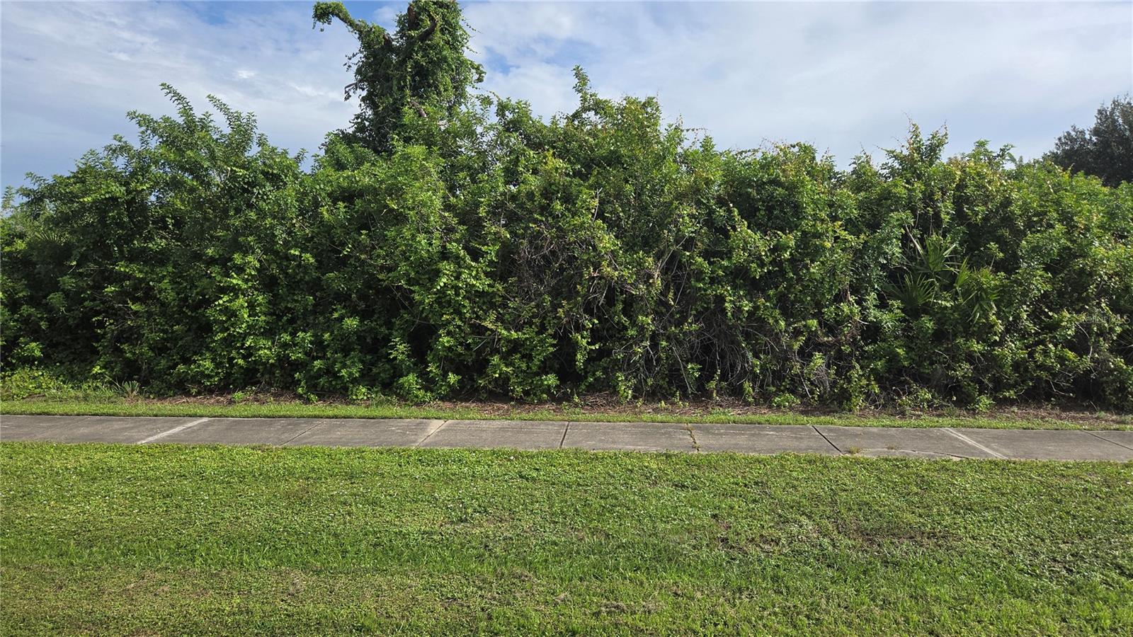 12436 WILLMINGTON BLVD Property Photo 1