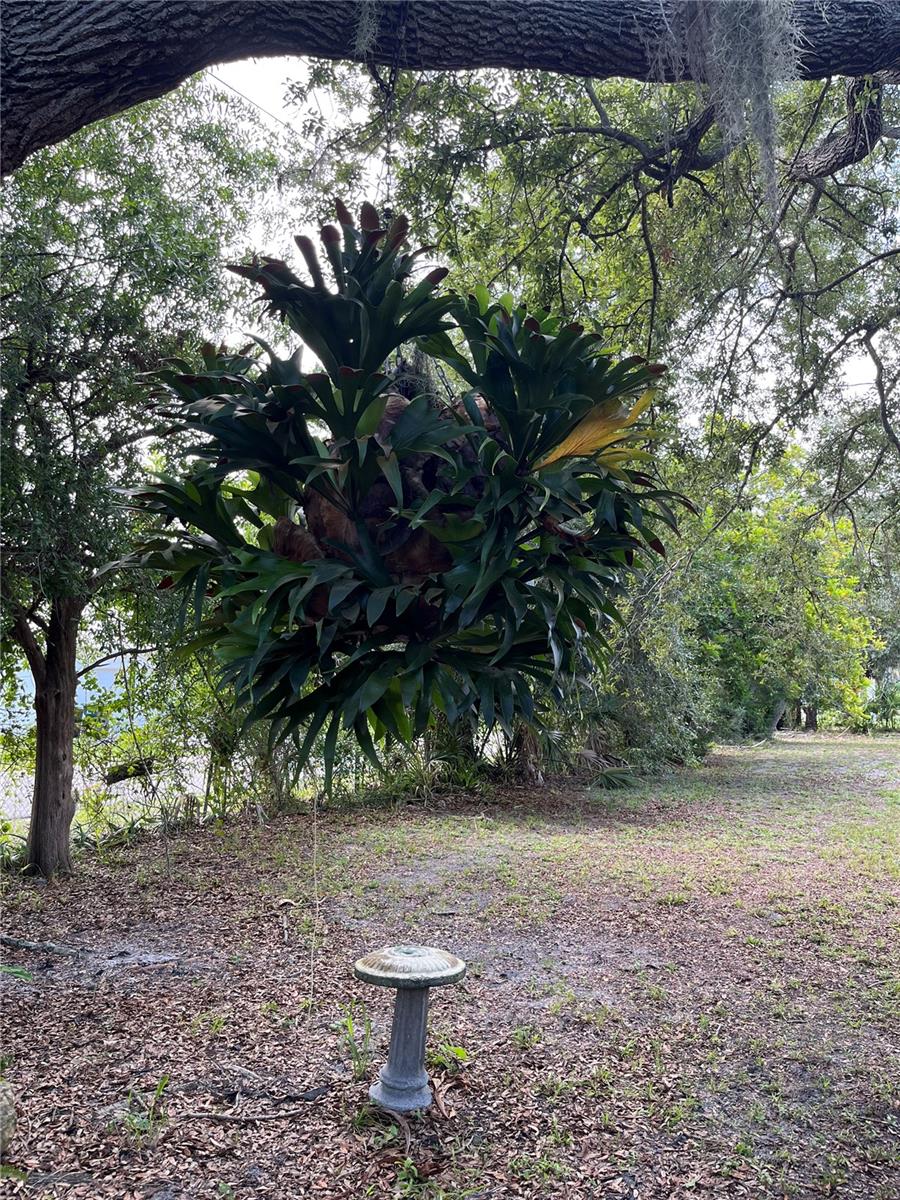 903 Anderson Rd Property Photo 4