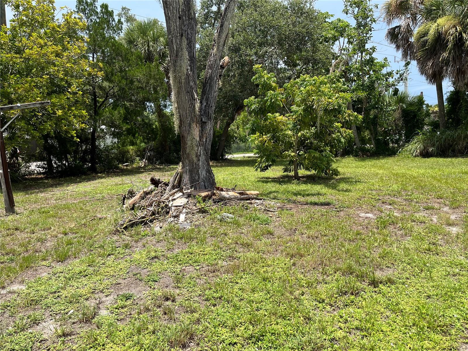903 Anderson Rd Property Photo 7