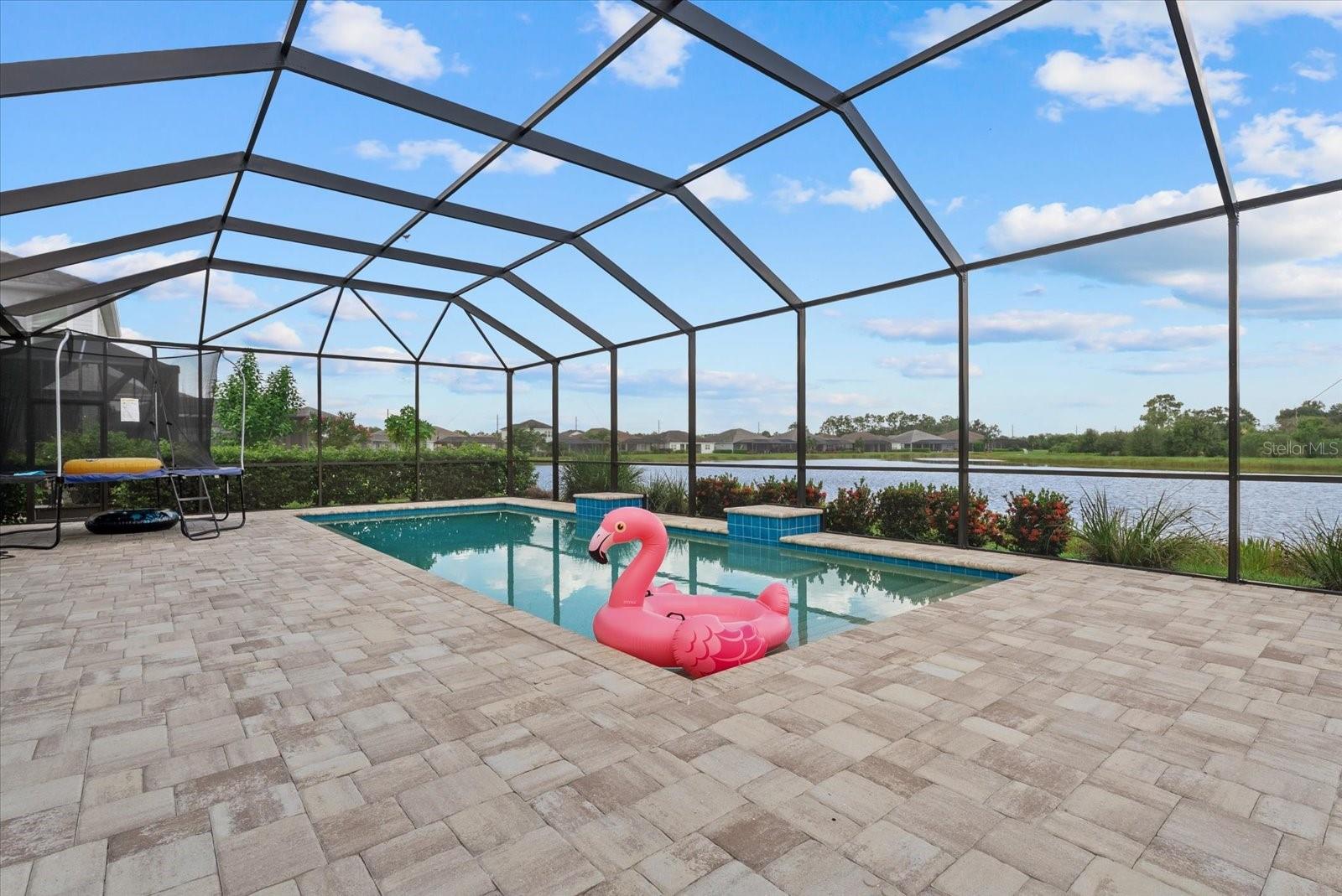 2641 Butterfly Jasmine Trl Property Photo 41
