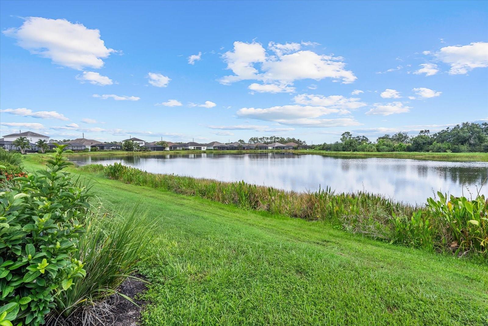 2641 Butterfly Jasmine Trl Property Photo 48