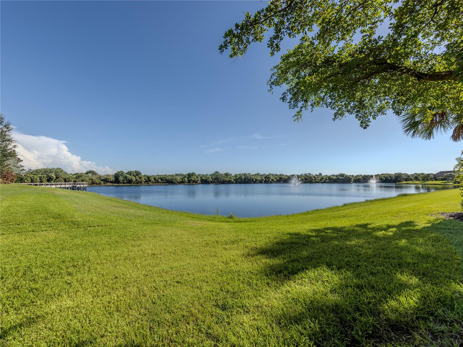 12300 Marsh Pointe Rd Property Photo 45