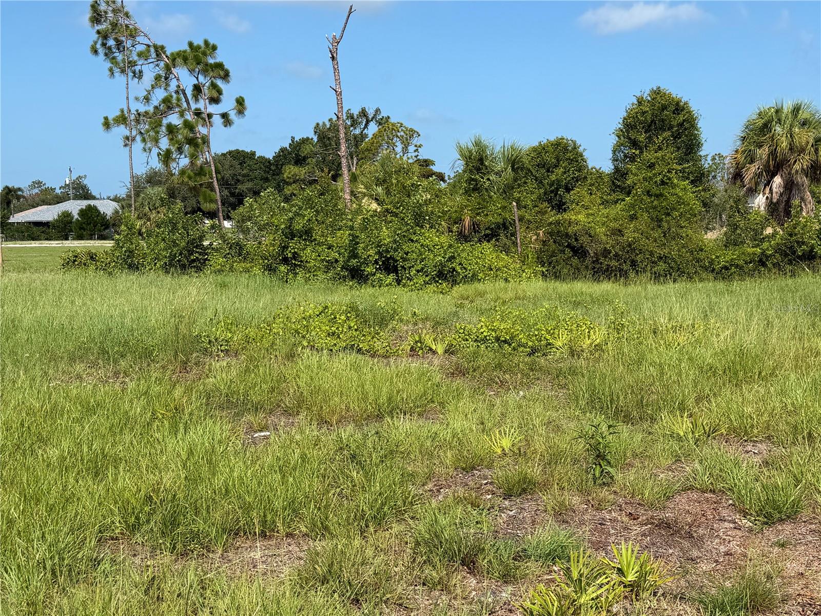 198 Fairway Rd Property Photo 4