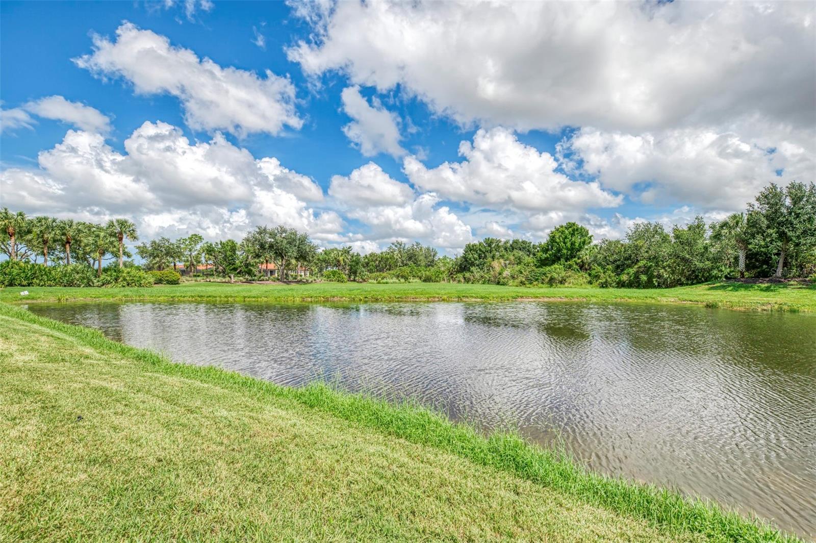 10908 Bullrush Dr Property Photo 73